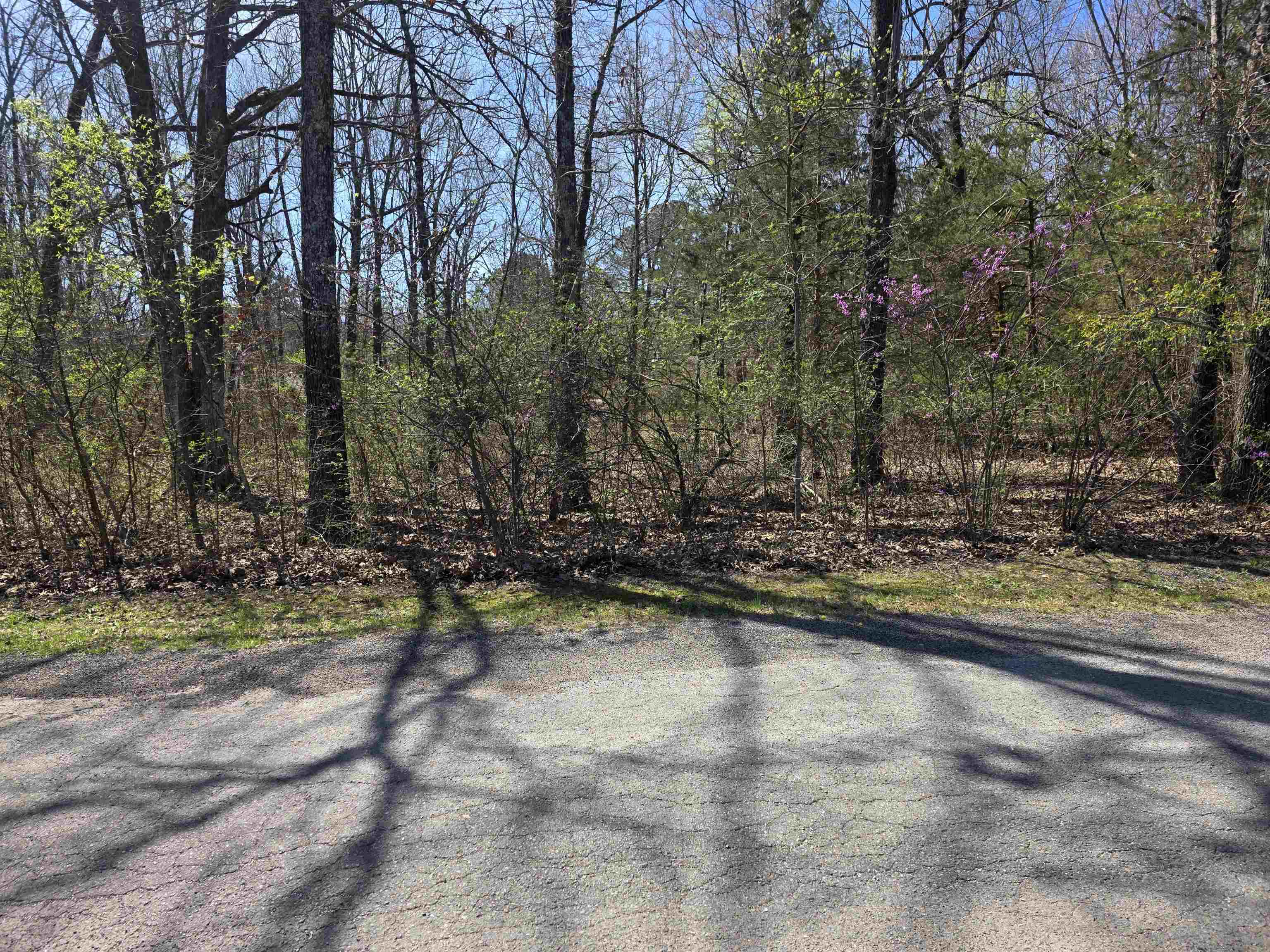 Photo 5 - Vacant Land for sale – L-22 B-10  Nameoki   Cherokee Village, AR