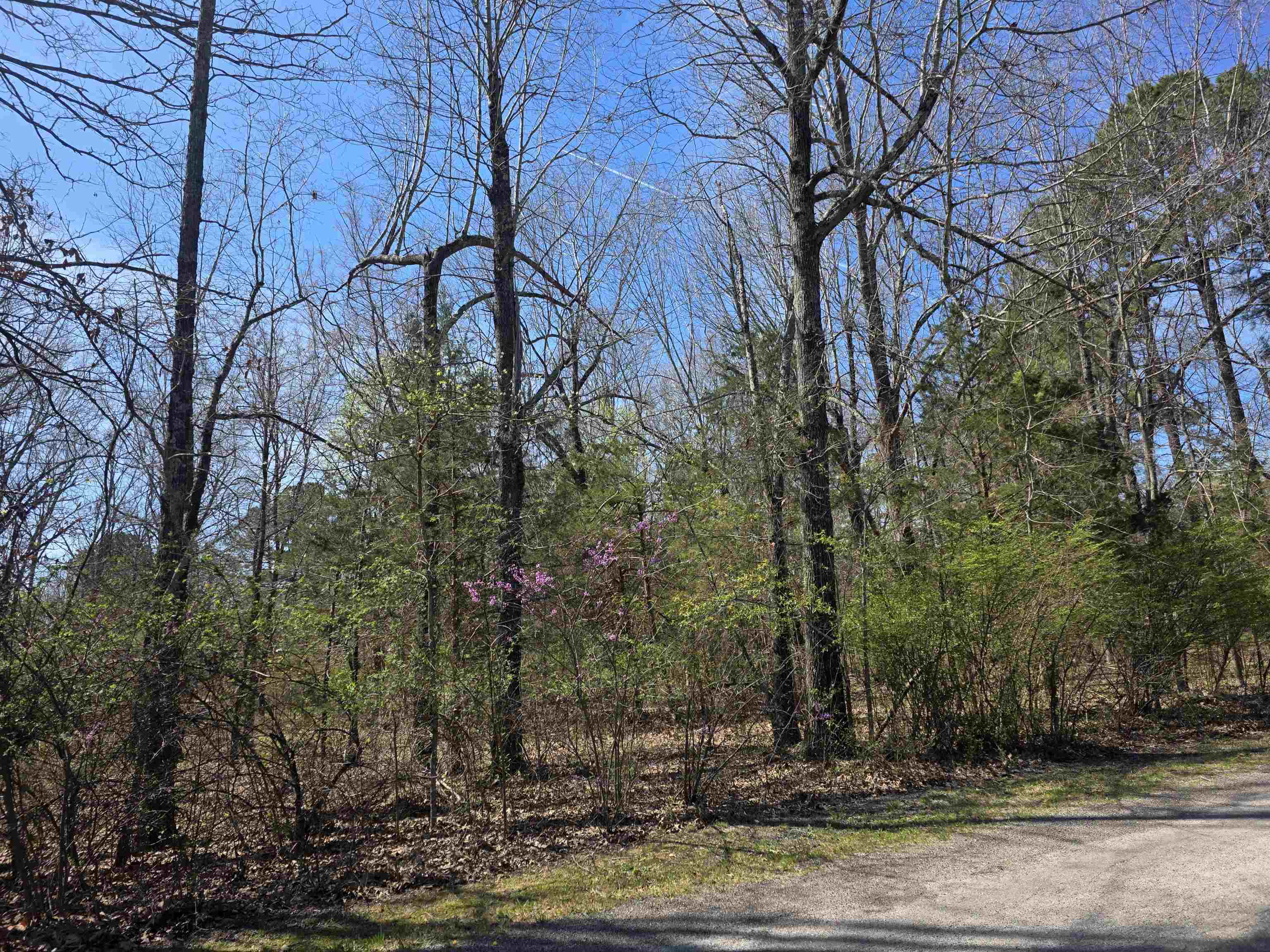 Photo 7 - Vacant Land for sale – L-22 B-10  Nameoki   Cherokee Village, AR