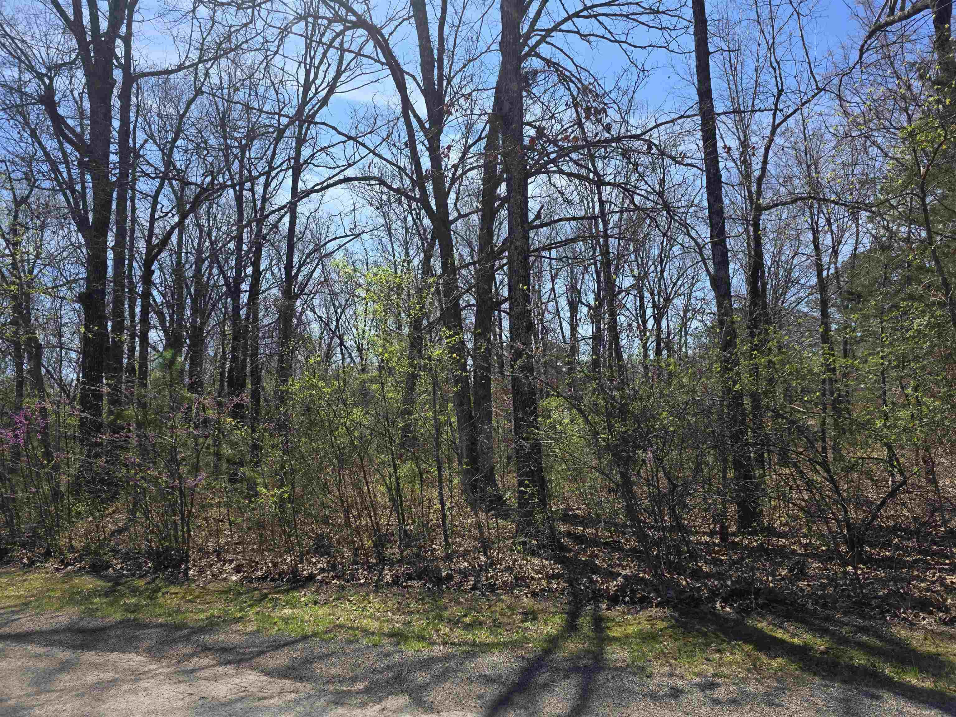 Photo 8 - Vacant Land for sale – L-22 B-10  Nameoki   Cherokee Village, AR