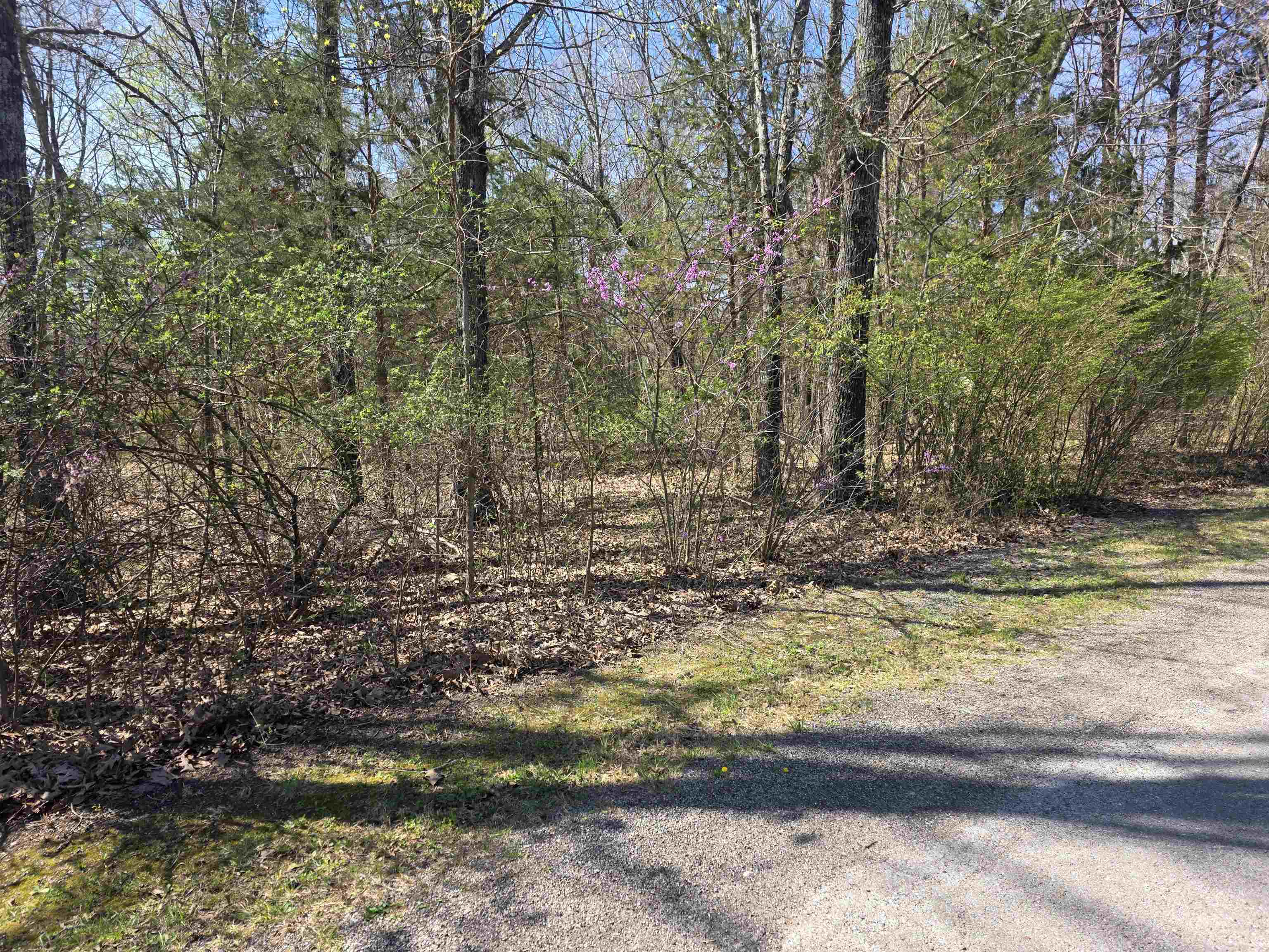 Photo 9 - Vacant Land for sale – L-22 B-10  Nameoki   Cherokee Village, AR