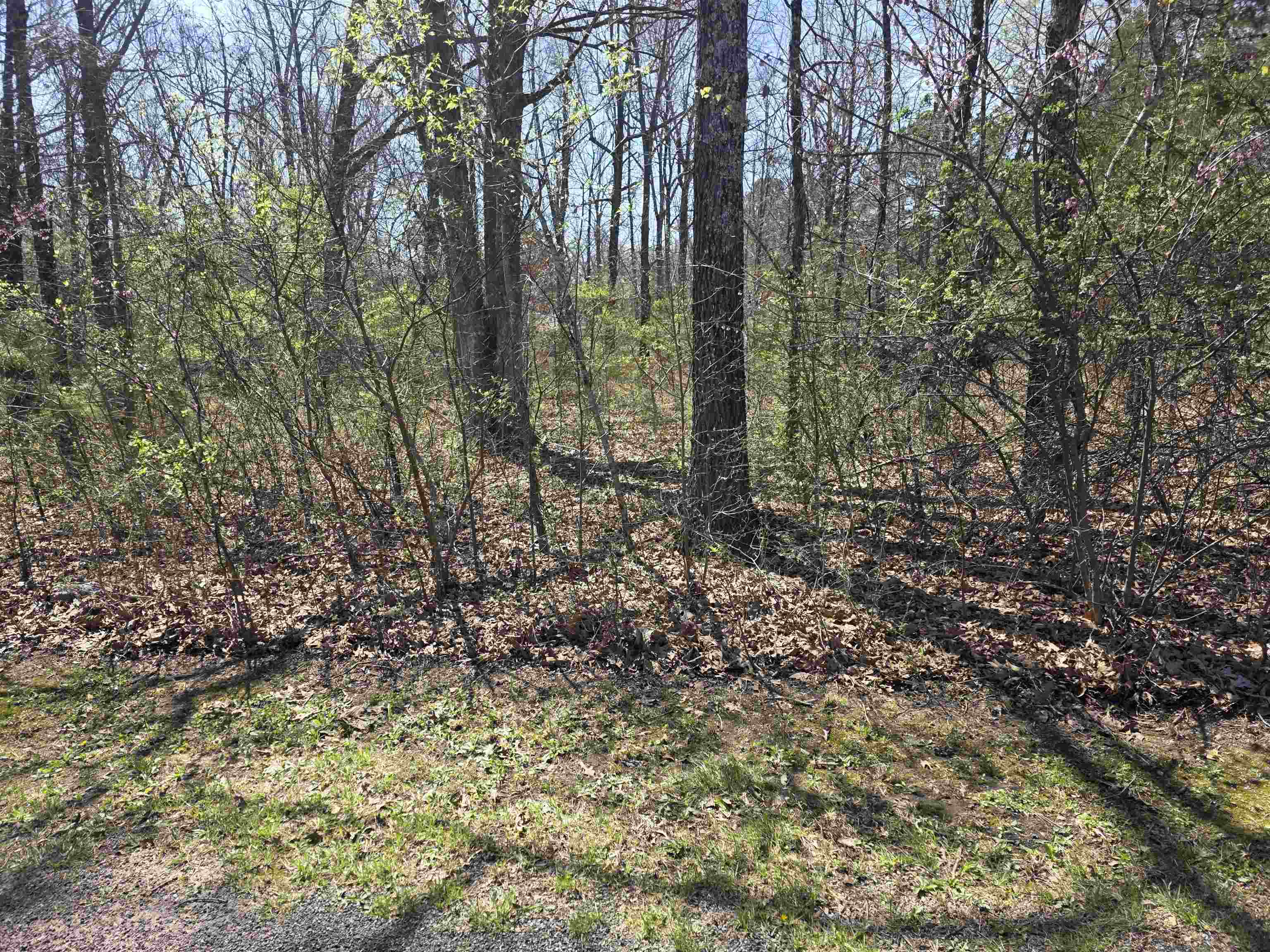 Photo 10 - Vacant Land for sale – L-22 B-10  Nameoki   Cherokee Village, AR