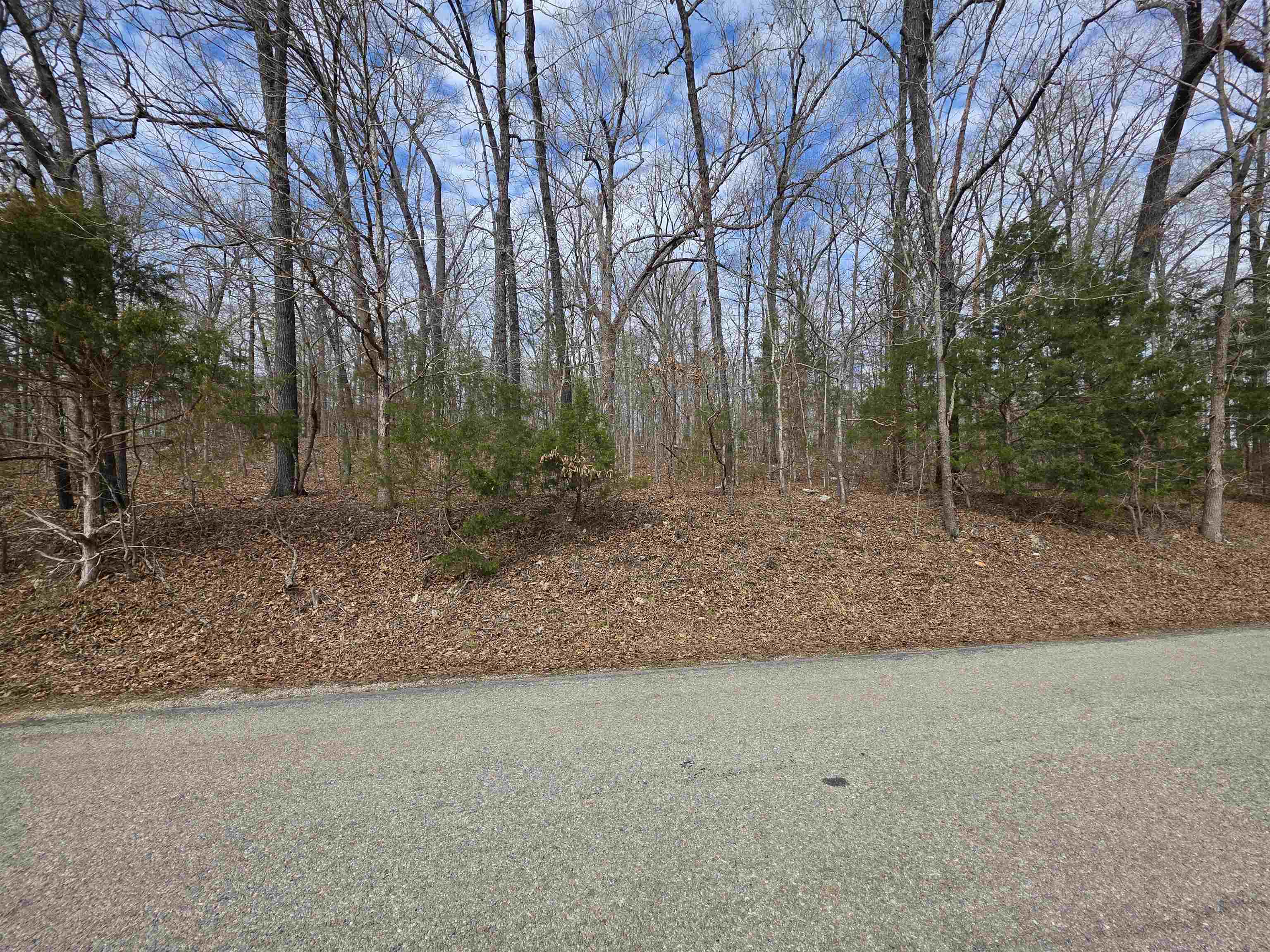 Vacant Land for sale – L-13 B-2  Robin Hood   Hardy, AR