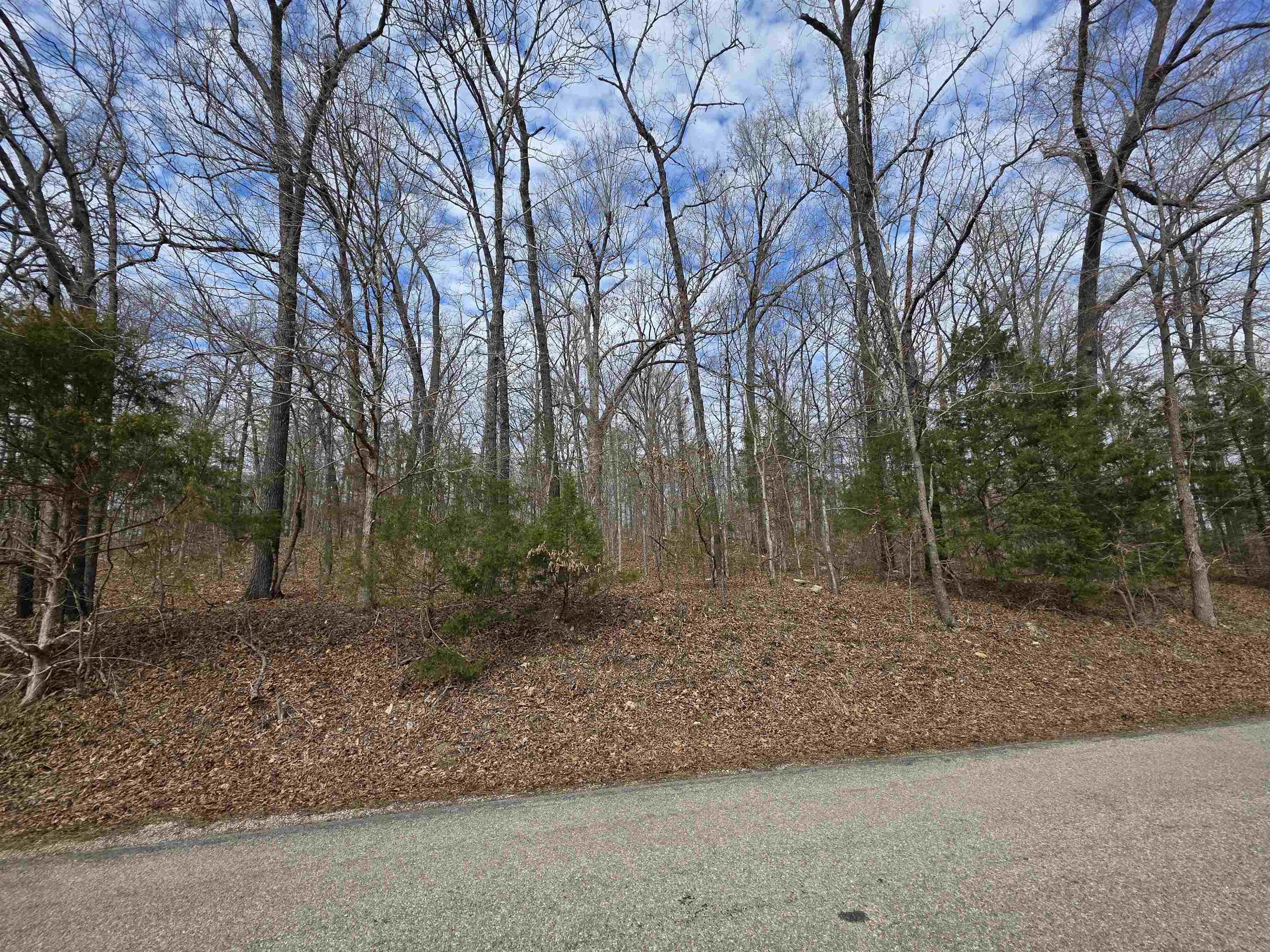 Photo 2 - Vacant Land for sale – L-13 B-2  Robin Hood   Hardy, AR