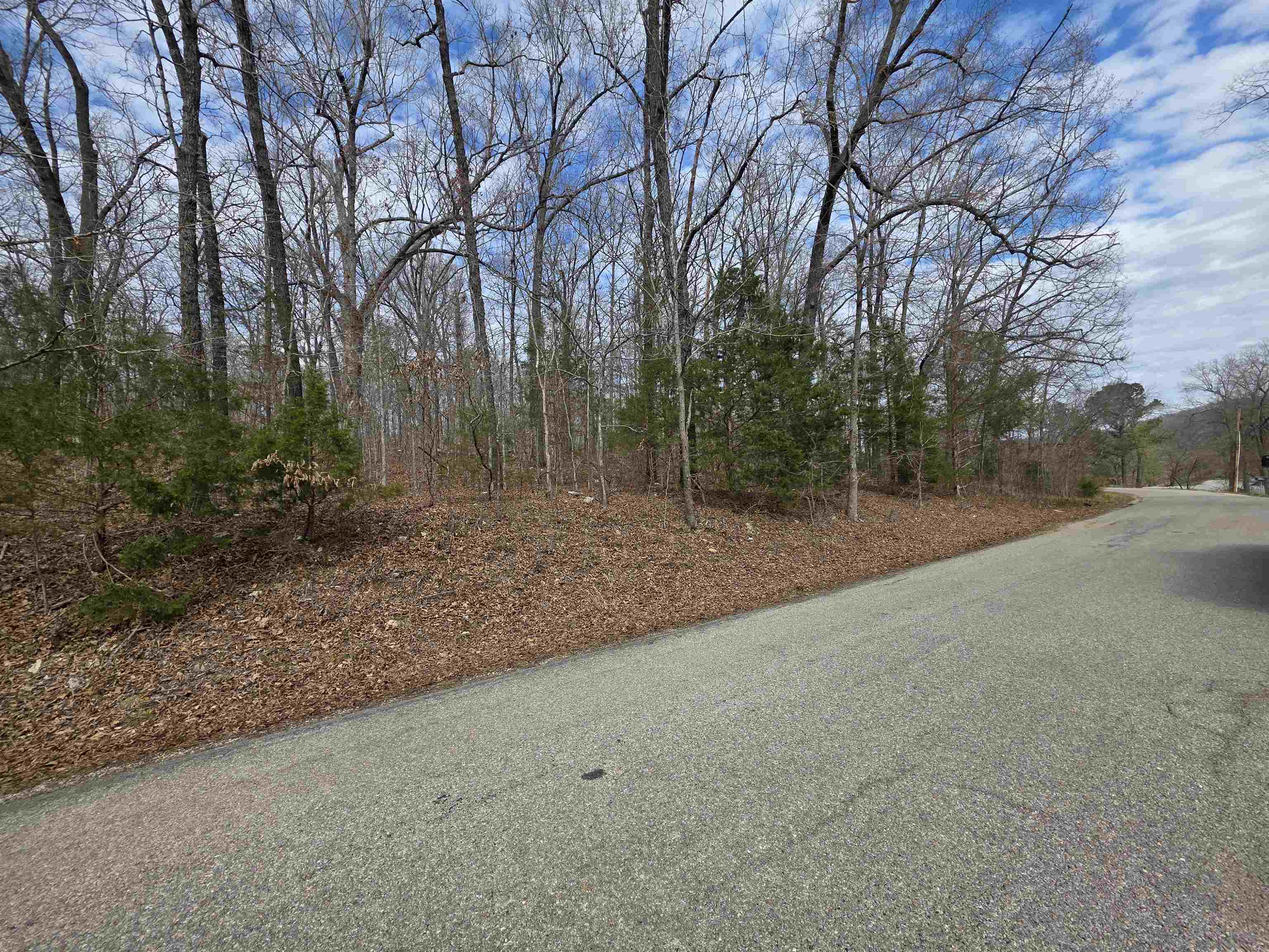 Photo 3 - Vacant Land for sale – L-13 B-2  Robin Hood   Hardy, AR