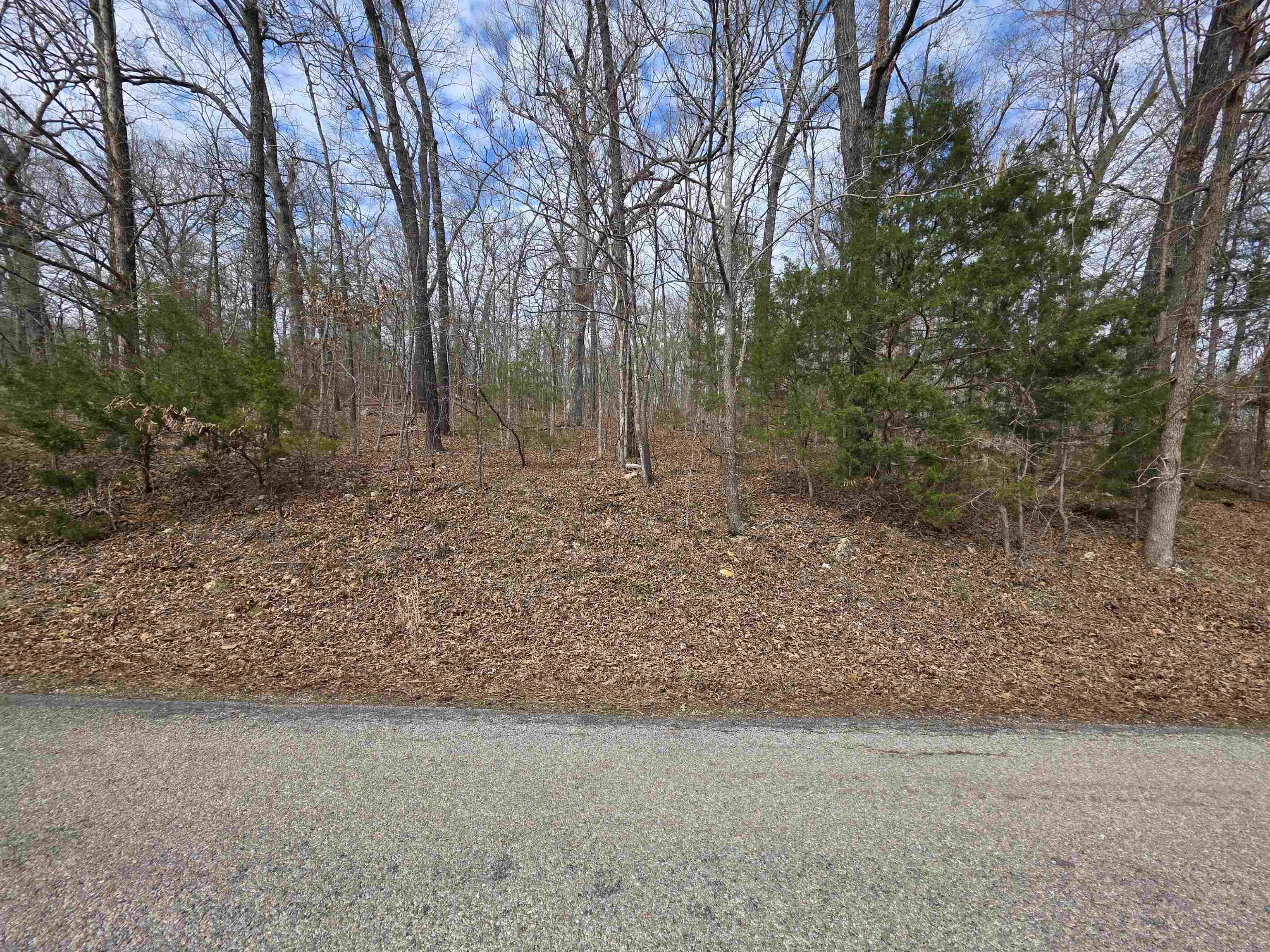 Photo 4 - Vacant Land for sale – L-13 B-2  Robin Hood   Hardy, AR