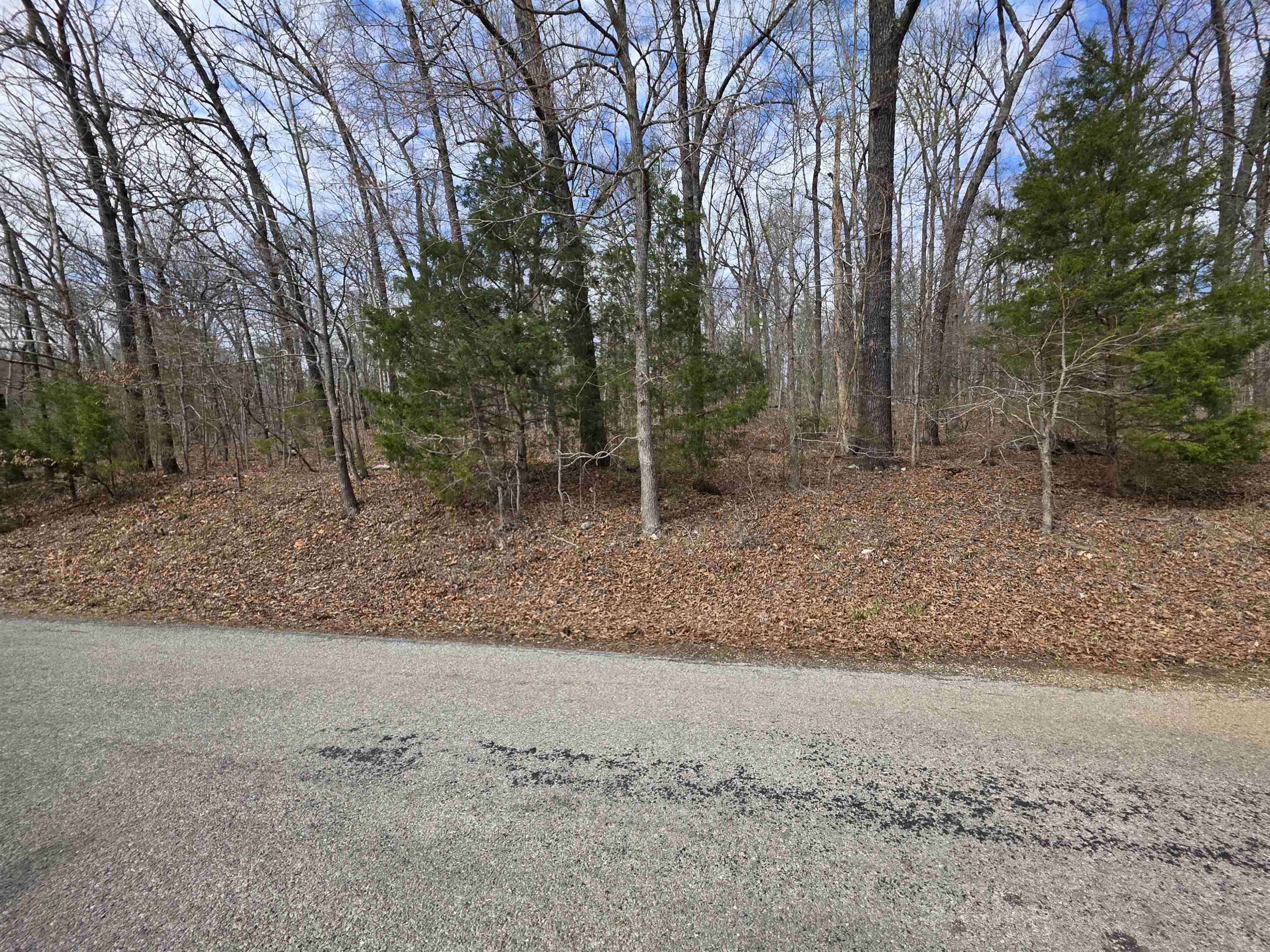 Photo 5 - Vacant Land for sale – L-13 B-2  Robin Hood   Hardy, AR