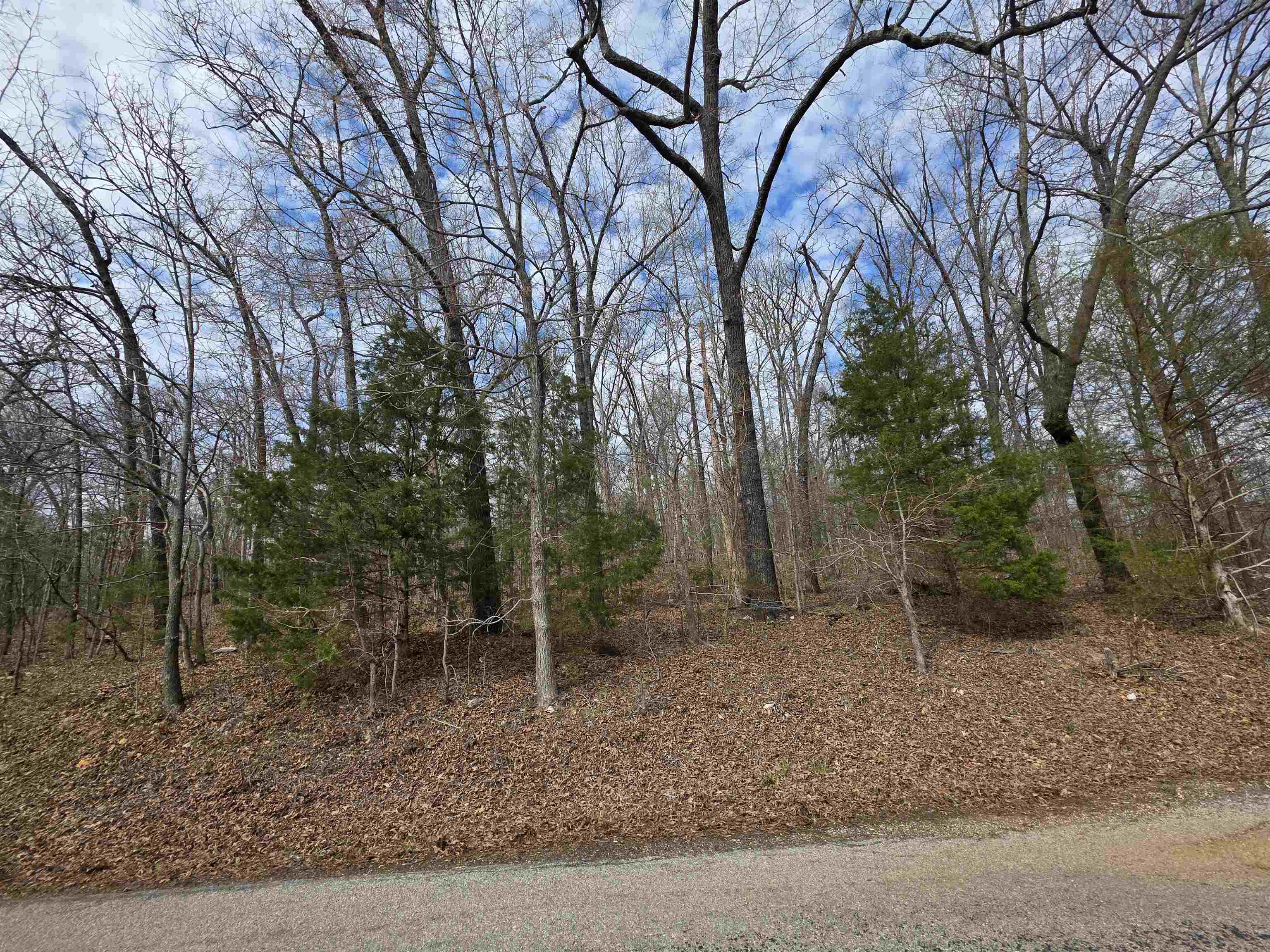 Photo 6 - Vacant Land for sale – L-13 B-2  Robin Hood   Hardy, AR