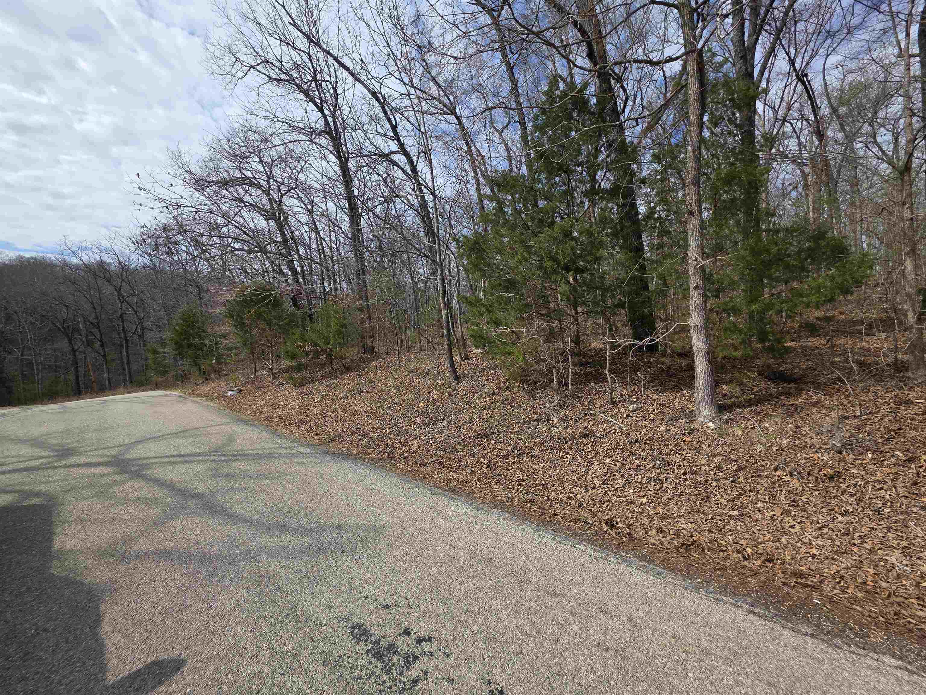 Photo 10 - Vacant Land for sale – L-13 B-2  Robin Hood   Hardy, AR