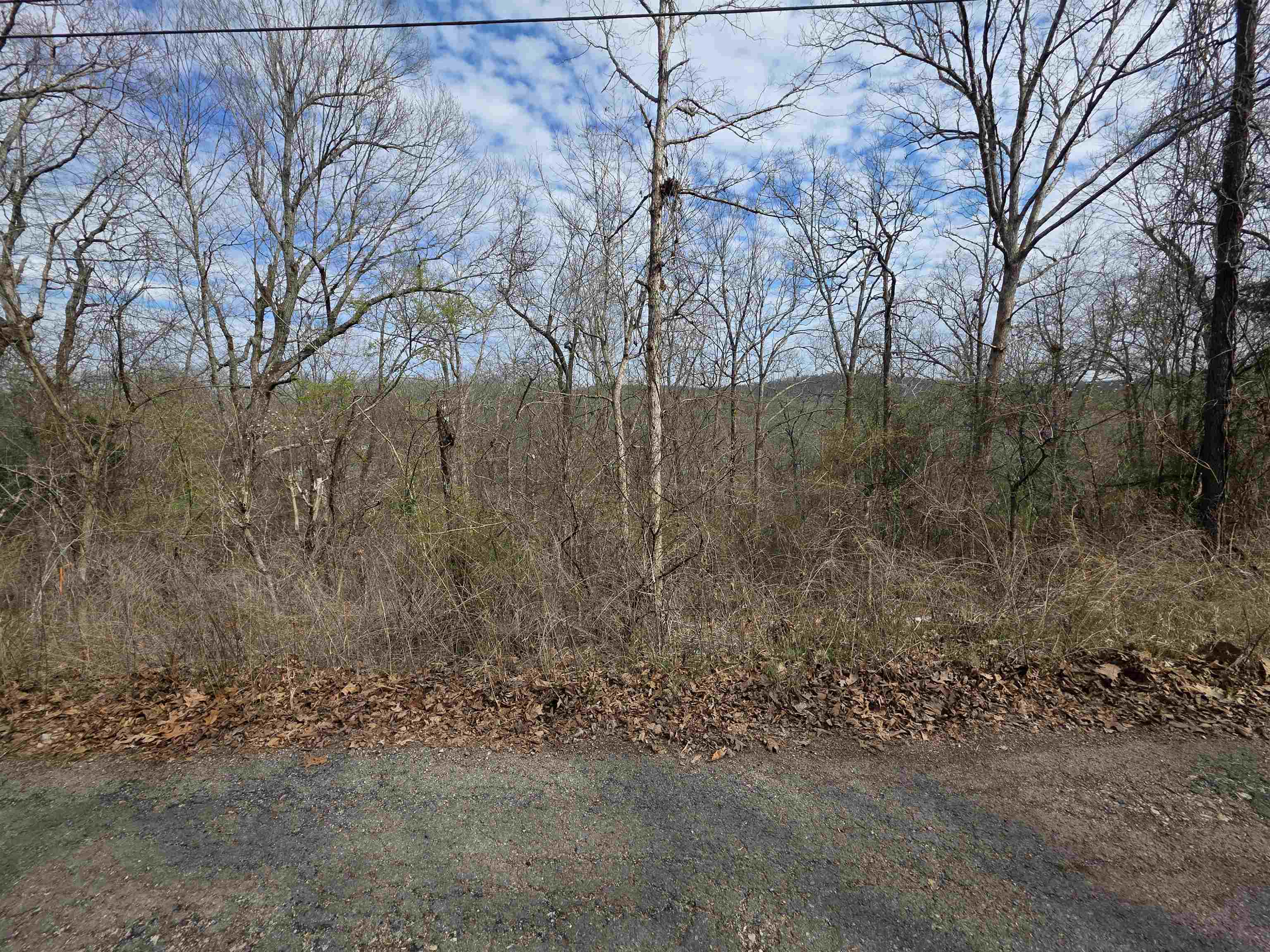 Photo 2 - Vacant Land for sale – L-11, B-4  Will Scarlet   Hardy, AR