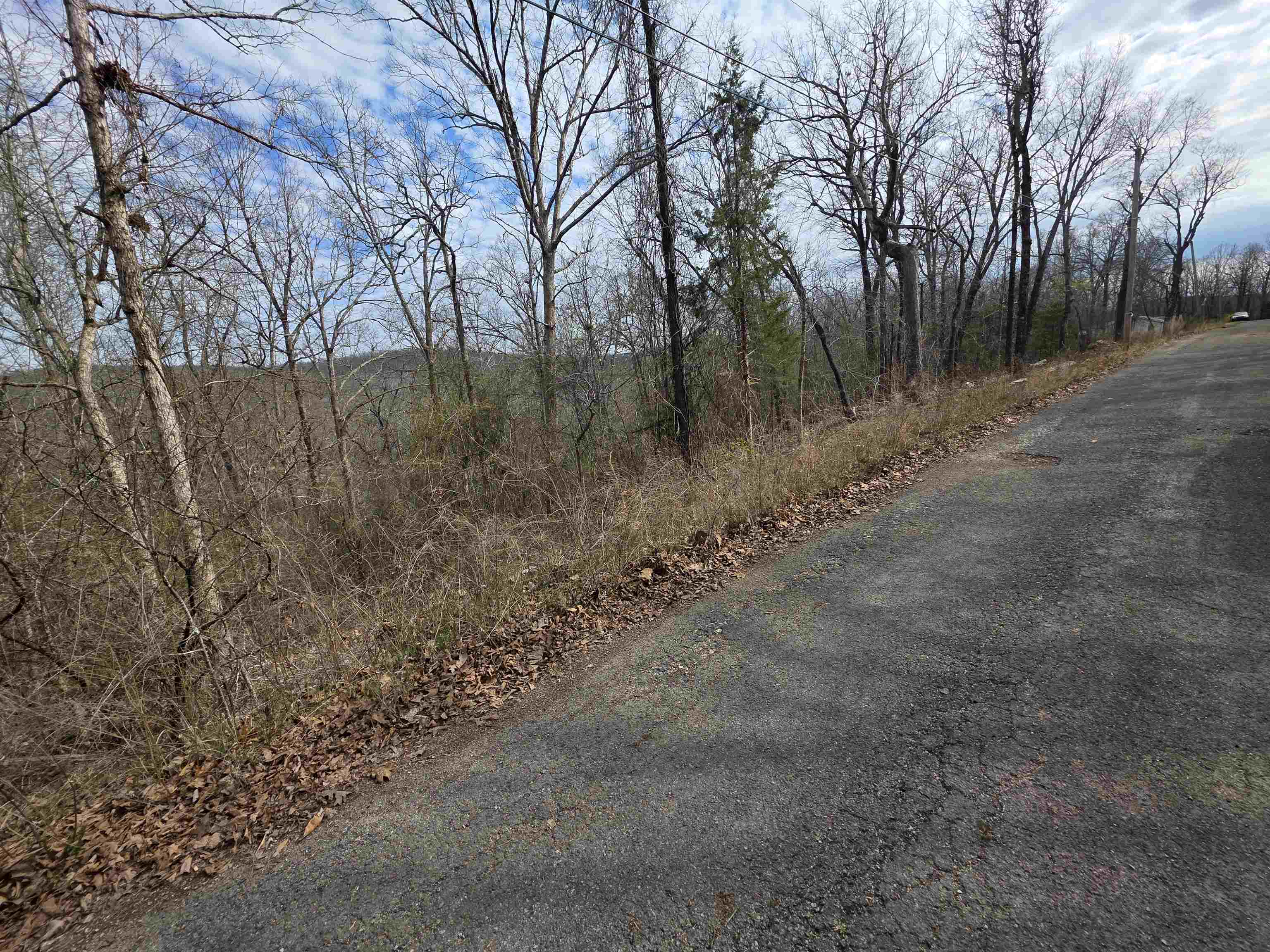 Photo 3 - Vacant Land for sale – L-11, B-4  Will Scarlet   Hardy, AR