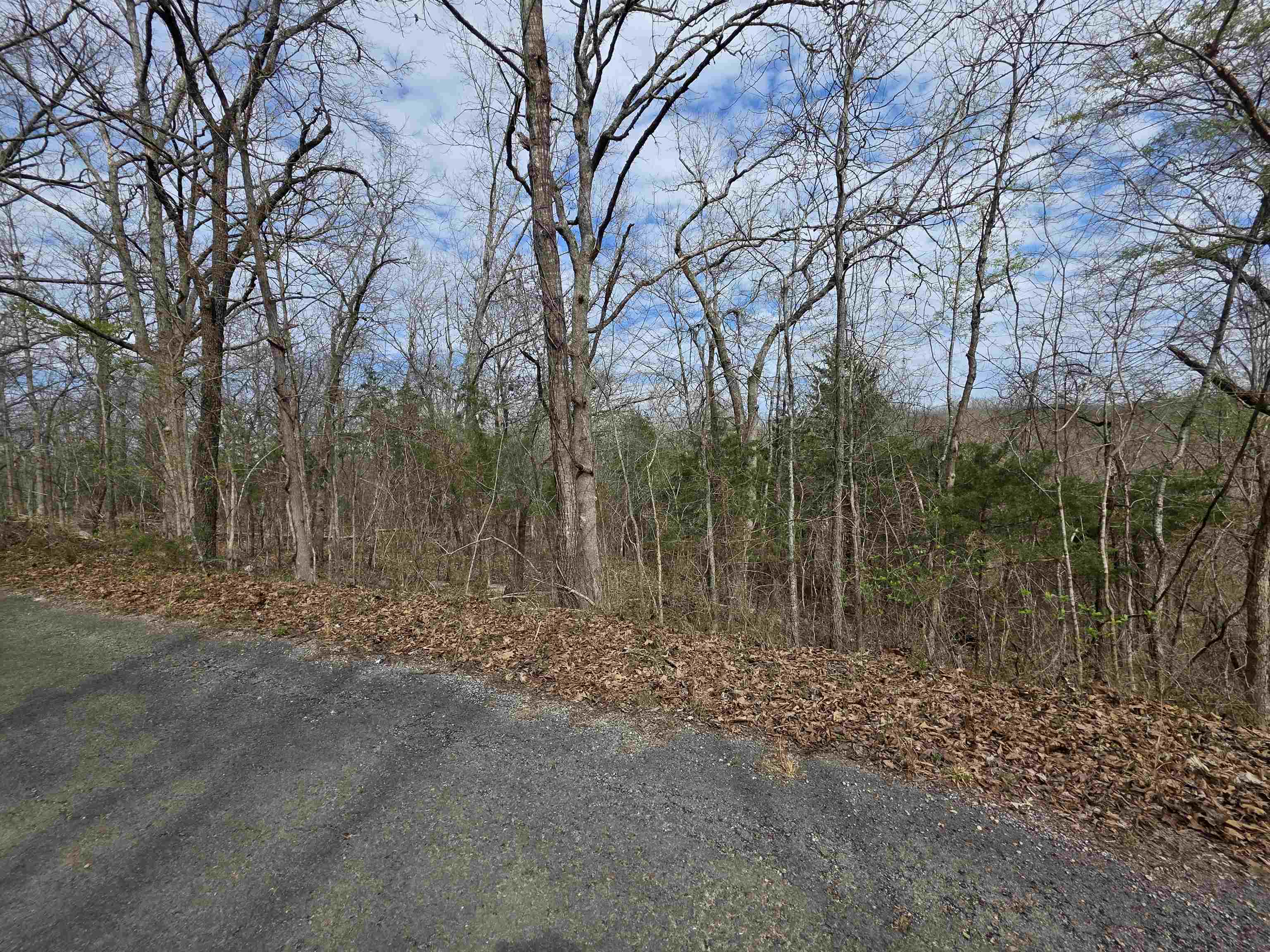 Photo 4 - Vacant Land for sale – L-11, B-4  Will Scarlet   Hardy, AR