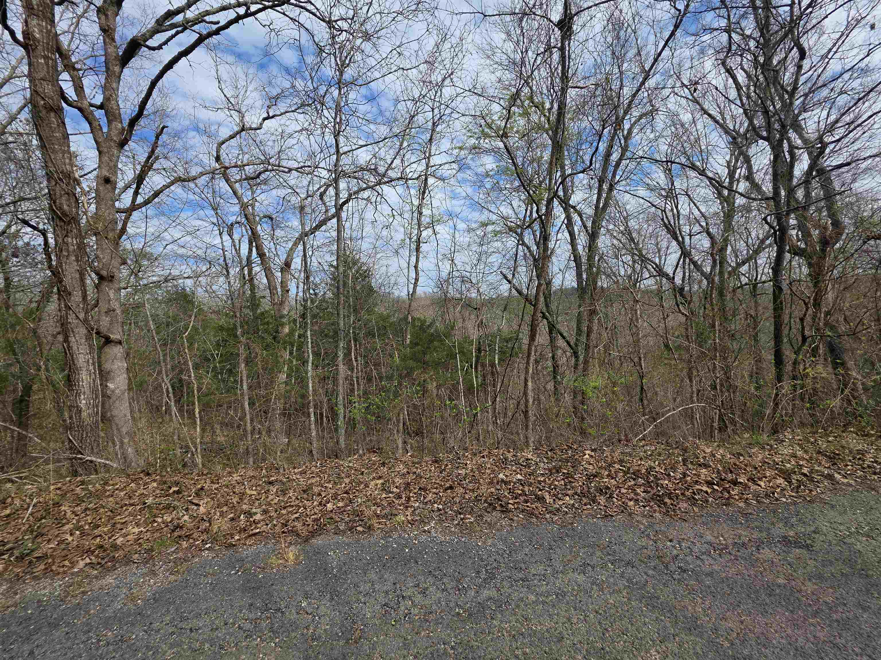 Photo 5 - Vacant Land for sale – L-11, B-4  Will Scarlet   Hardy, AR