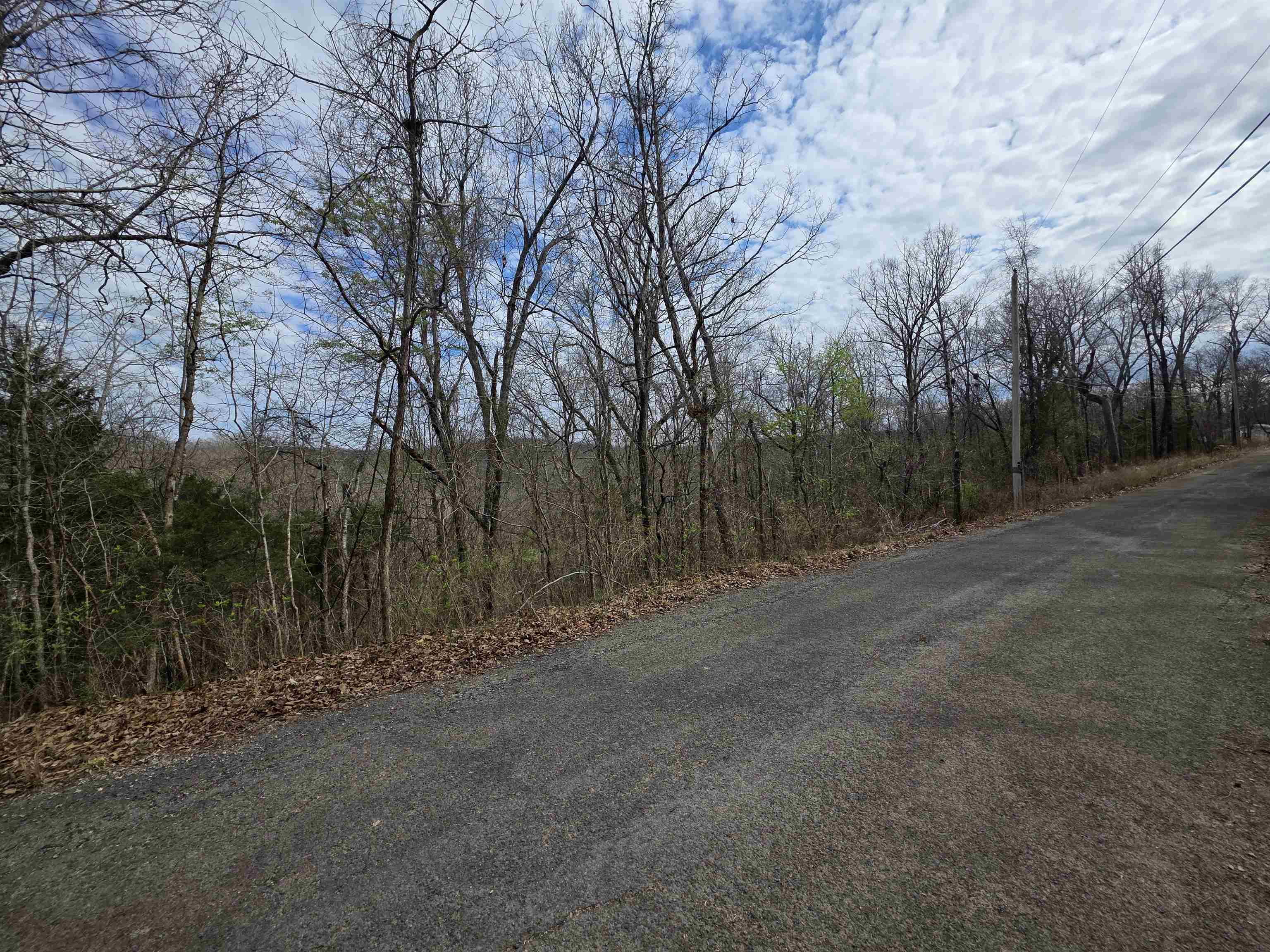 Photo 6 - Vacant Land for sale – L-11, B-4  Will Scarlet   Hardy, AR