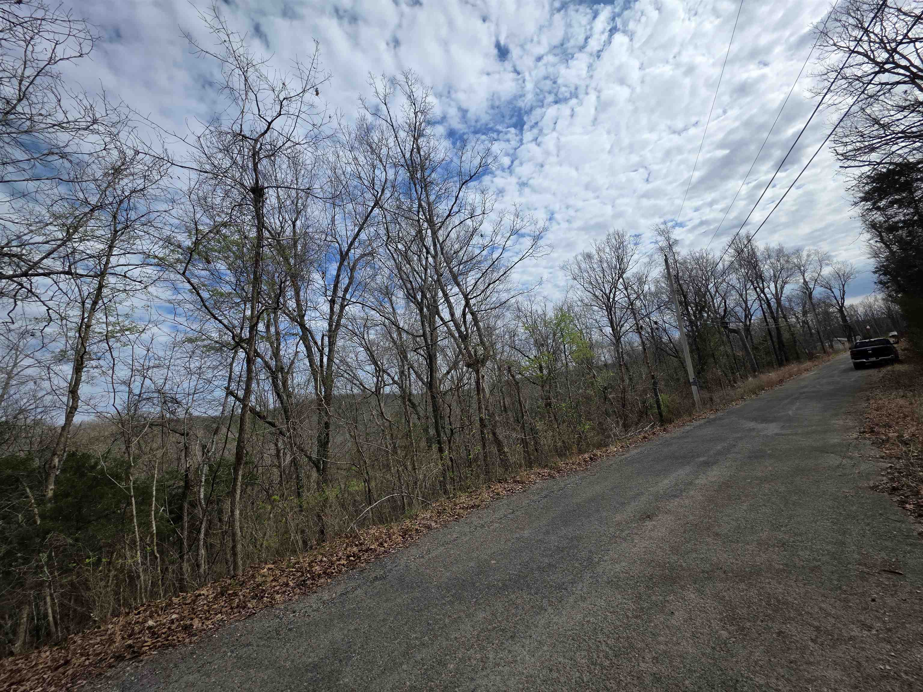 Photo 7 - Vacant Land for sale – L-11, B-4  Will Scarlet   Hardy, AR