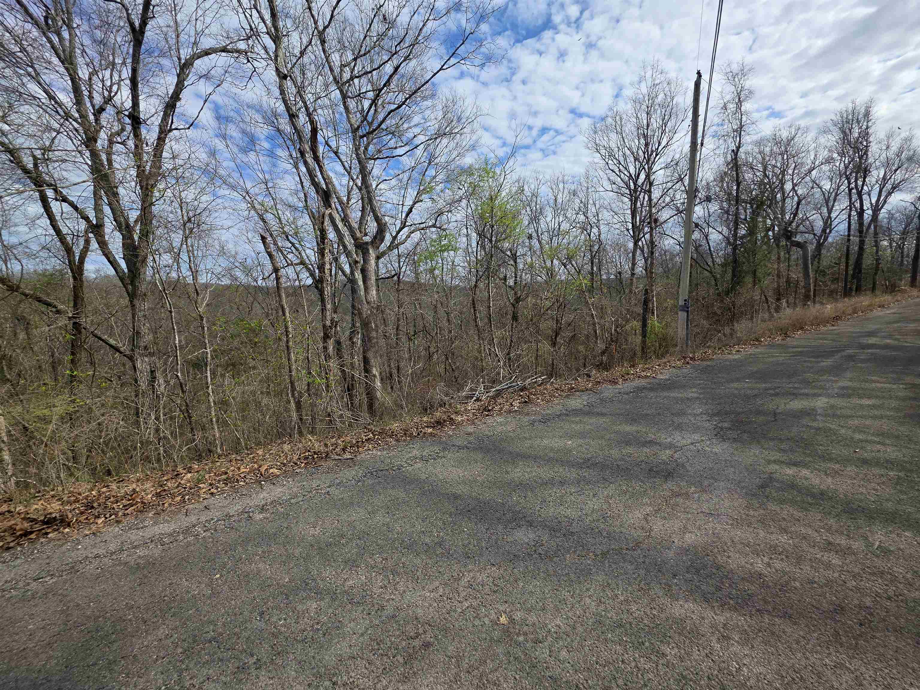 Photo 9 - Vacant Land for sale – L-11, B-4  Will Scarlet   Hardy, AR