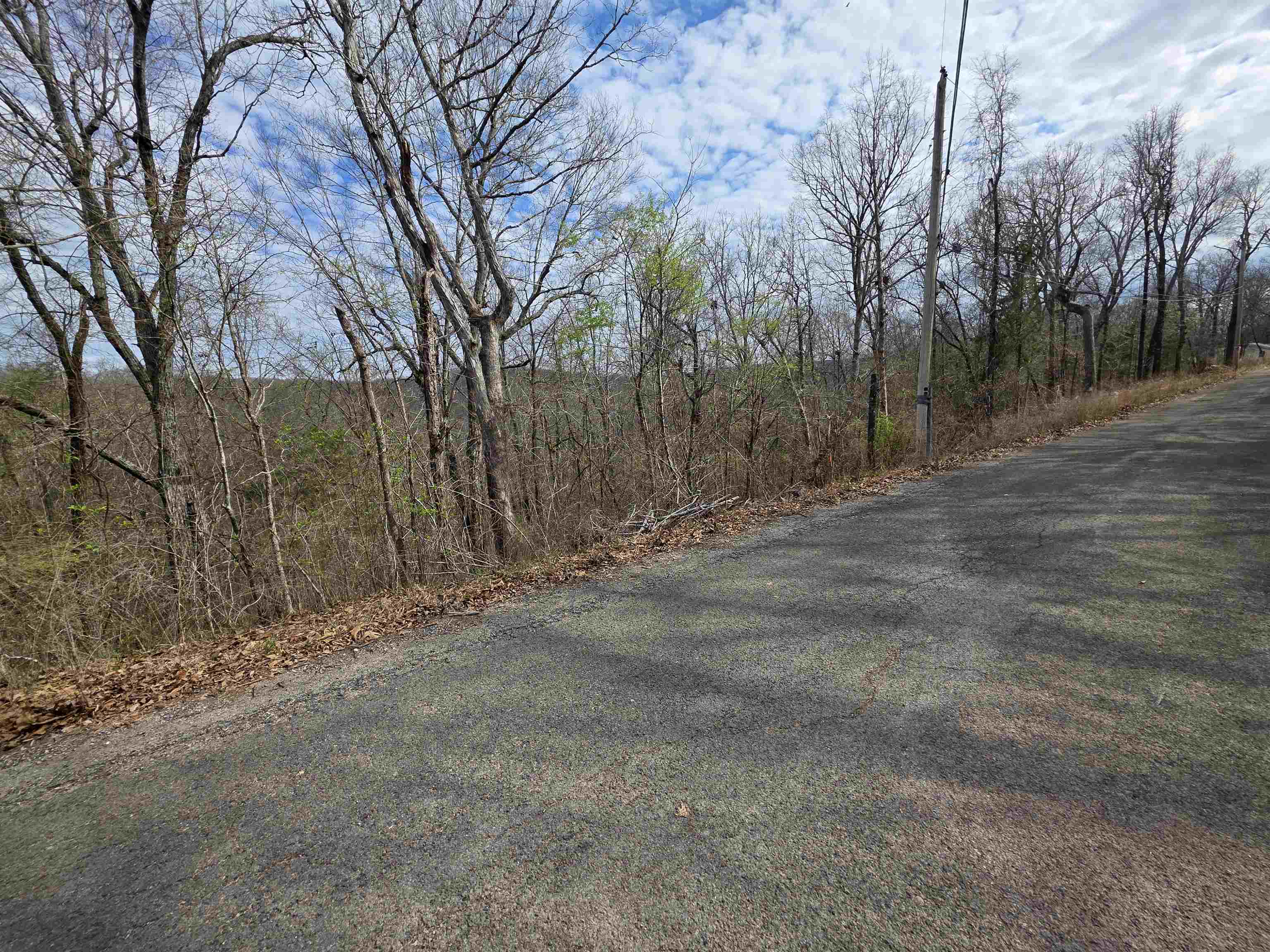 Photo 10 - Vacant Land for sale – L-11, B-4  Will Scarlet   Hardy, AR