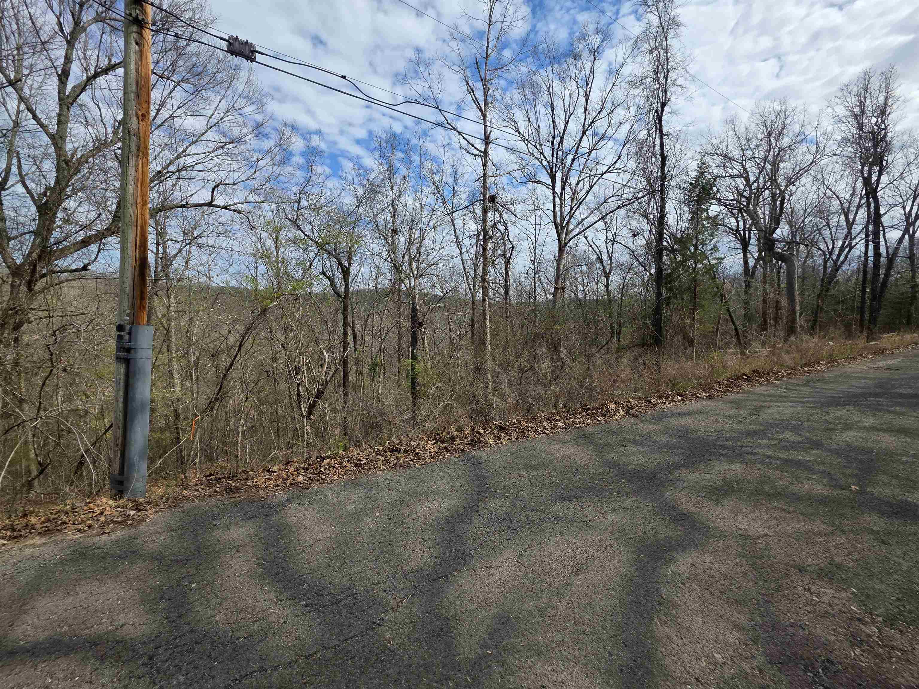 Photo 2 - Vacant Land for sale – L-12 B-4  Will Scarlet   Hardy, AR
