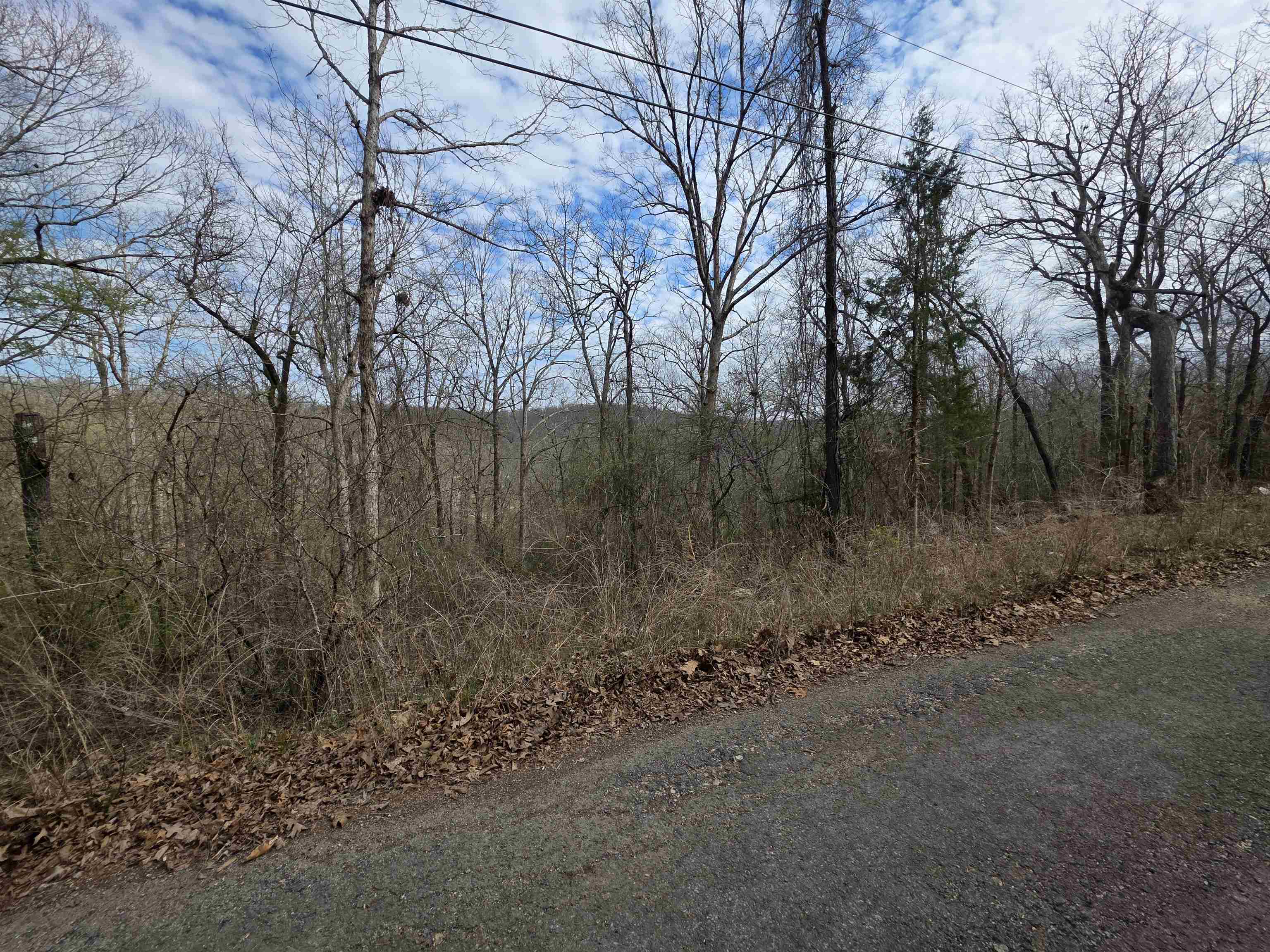Photo 4 - Vacant Land for sale – L-12 B-4  Will Scarlet   Hardy, AR