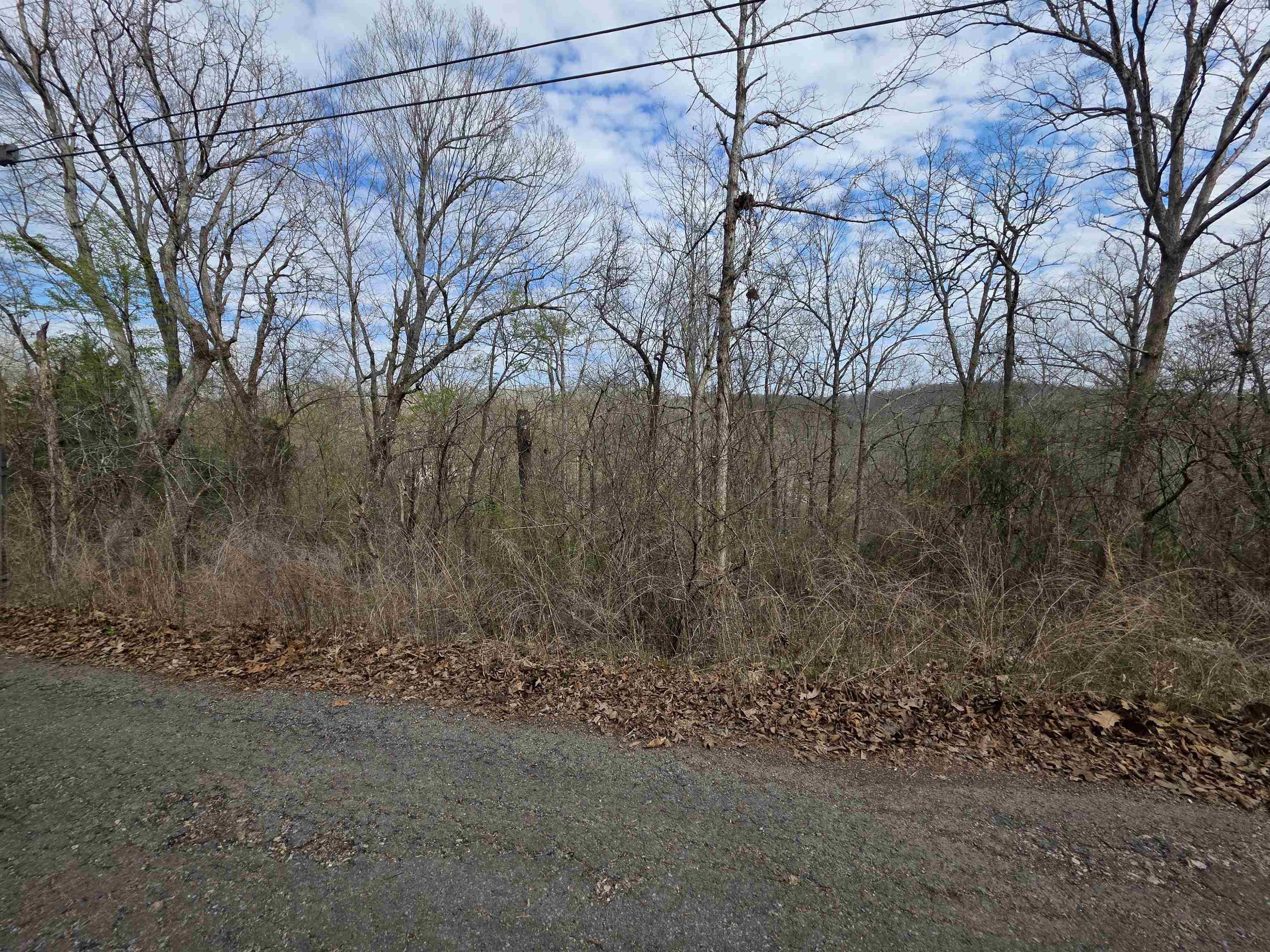 Photo 5 - Vacant Land for sale – L-12 B-4  Will Scarlet   Hardy, AR