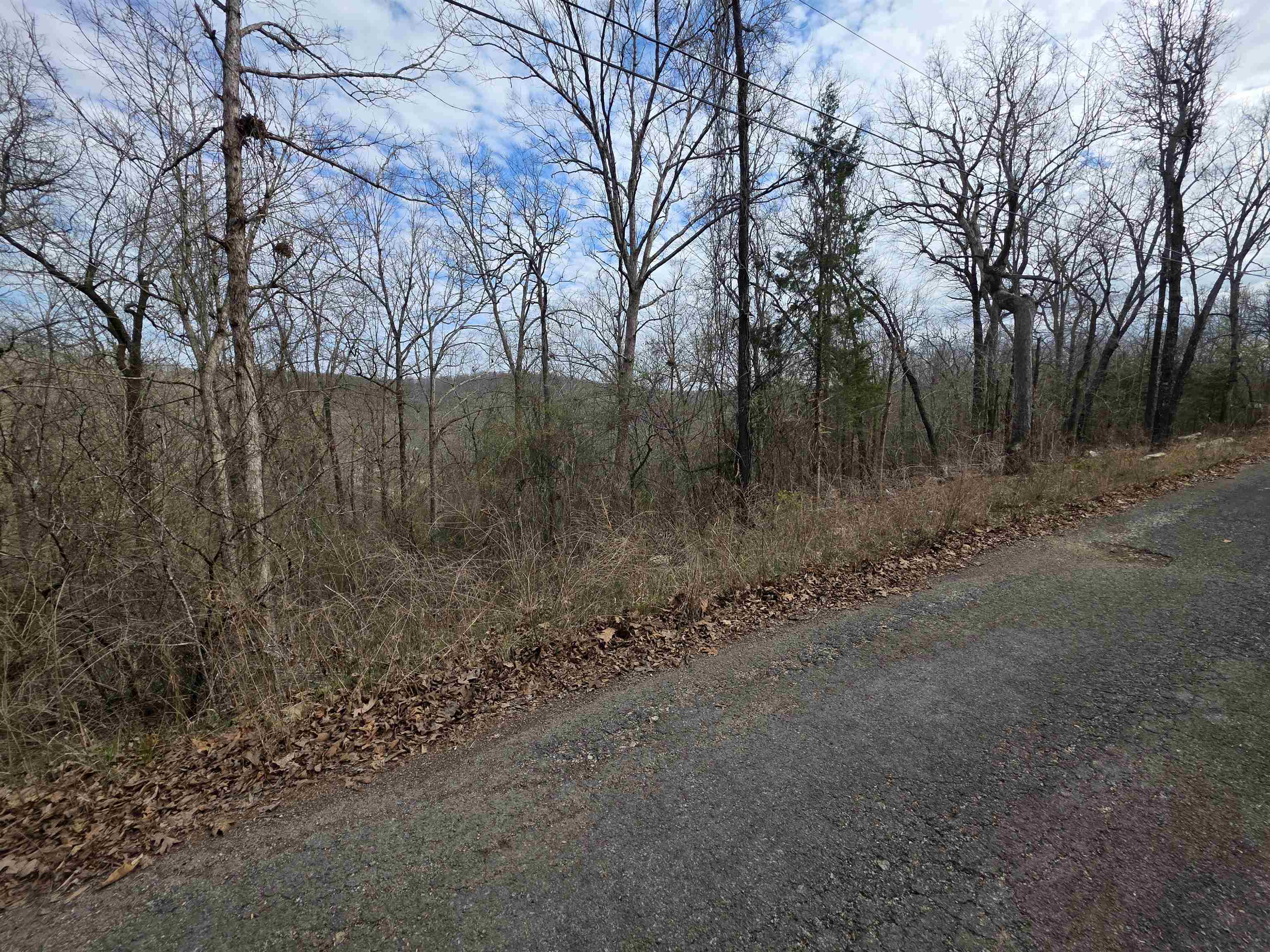 Photo 6 - Vacant Land for sale – L-12 B-4  Will Scarlet   Hardy, AR