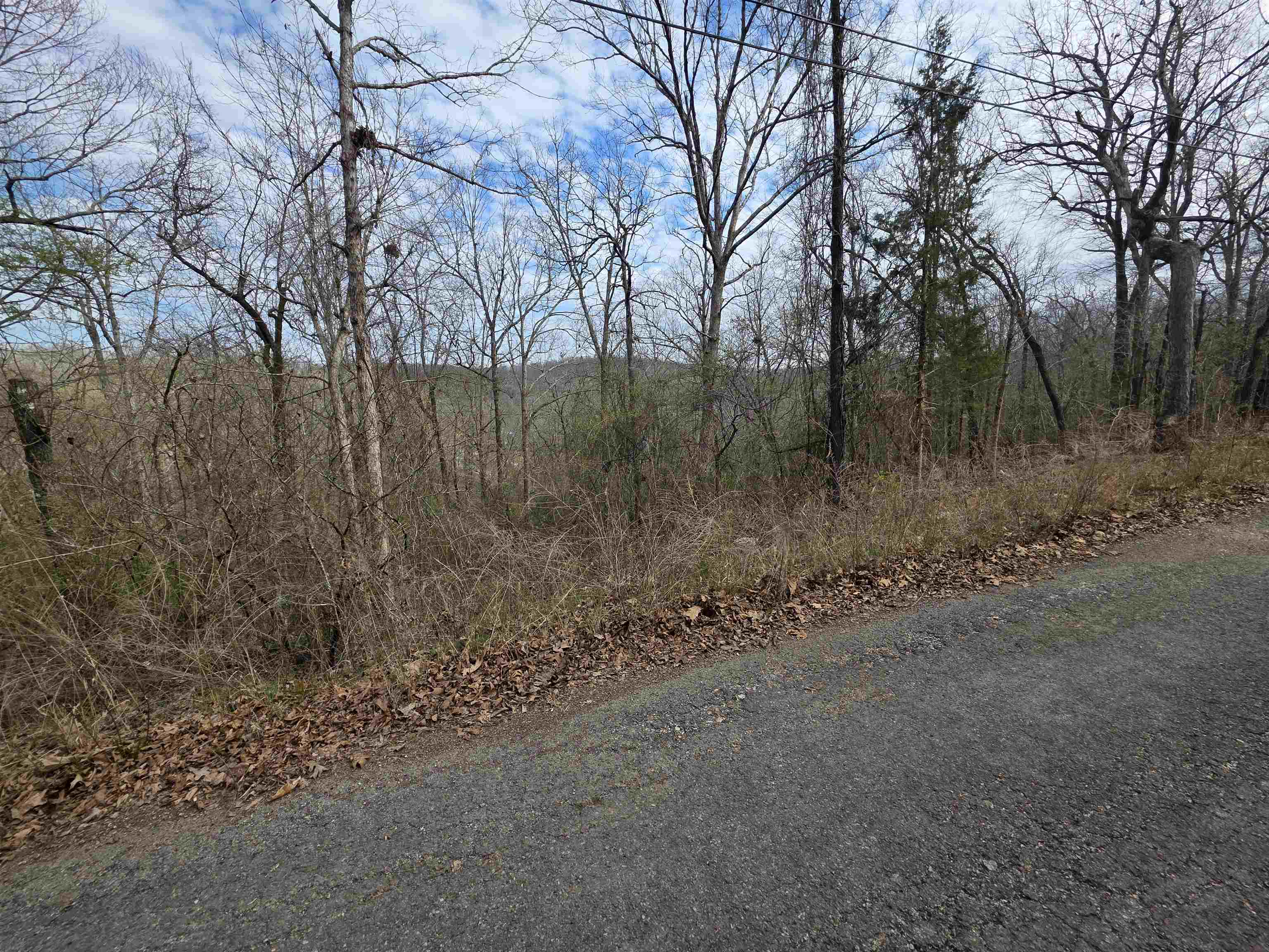Photo 7 - Vacant Land for sale – L-12 B-4  Will Scarlet   Hardy, AR