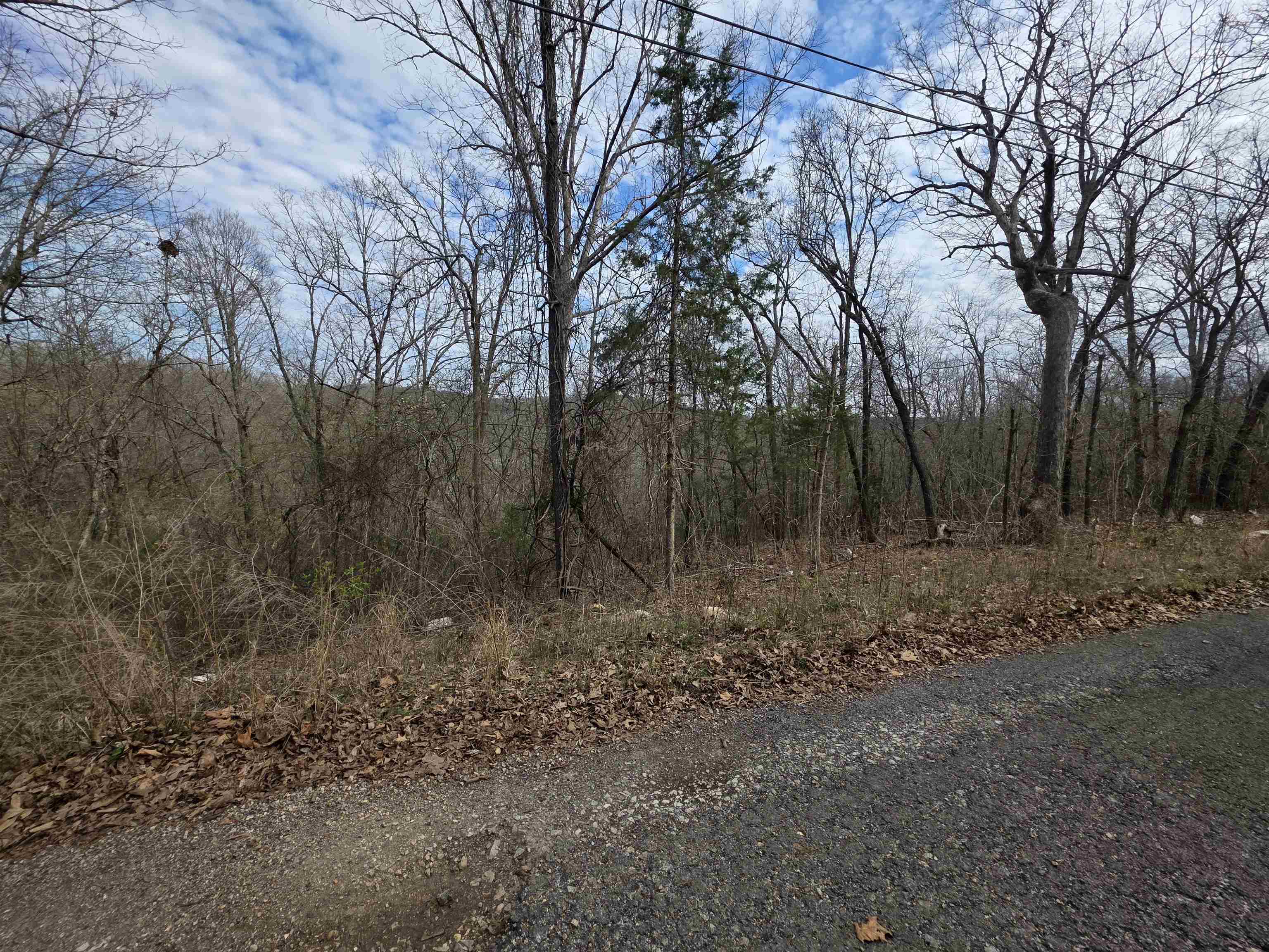 Photo 8 - Vacant Land for sale – L-12 B-4  Will Scarlet   Hardy, AR