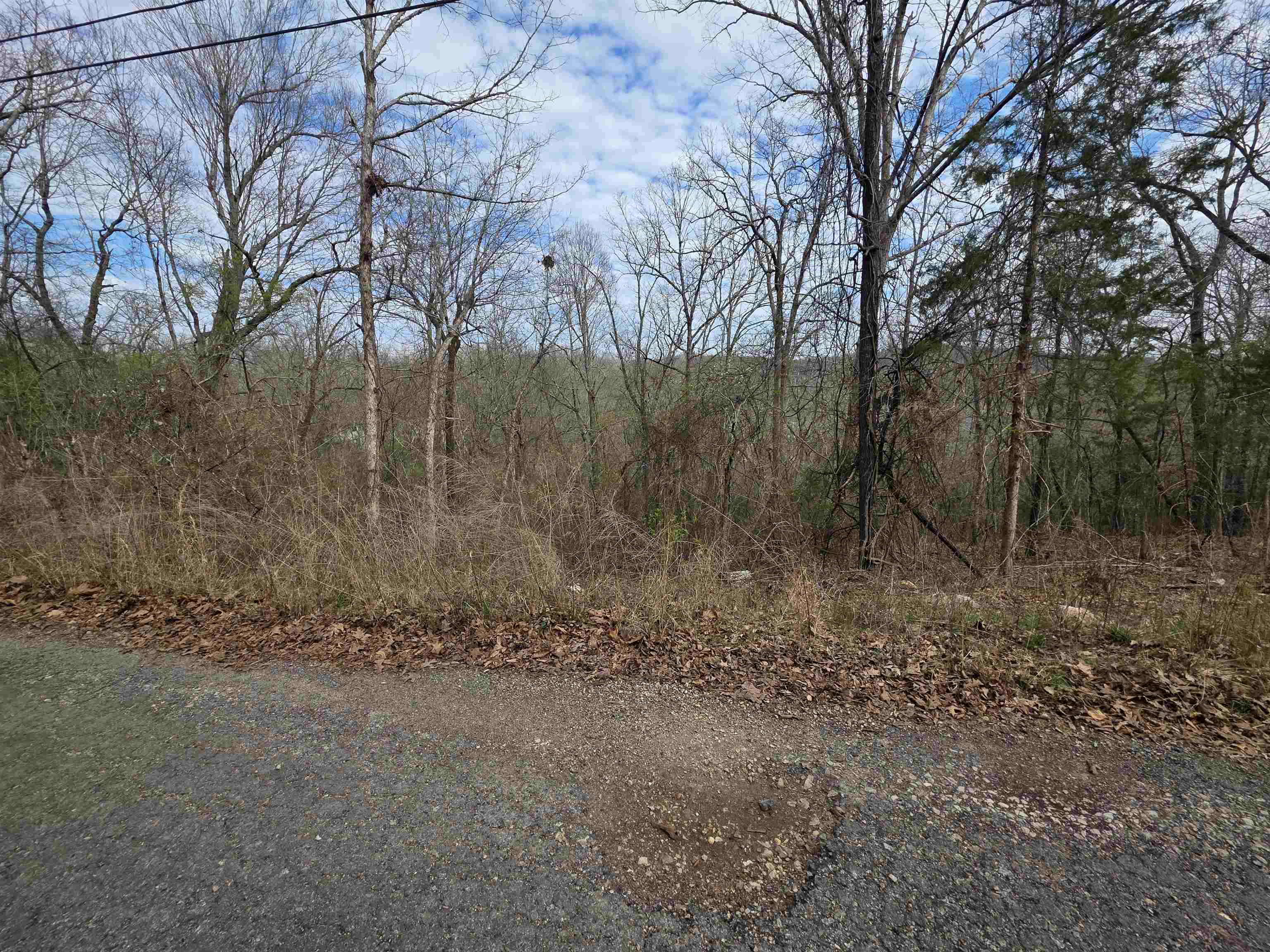 Photo 9 - Vacant Land for sale – L-12 B-4  Will Scarlet   Hardy, AR