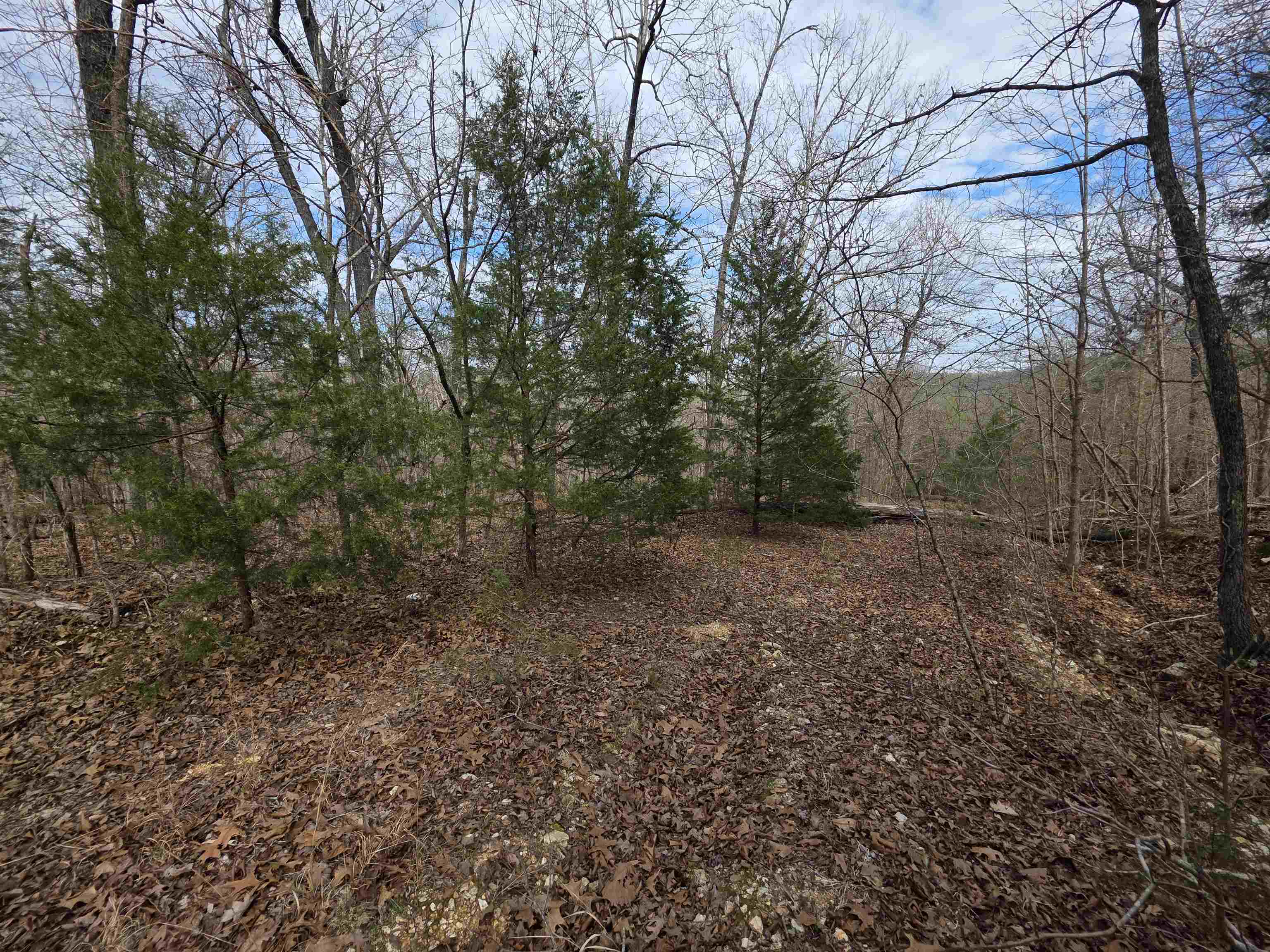 Vacant Land for sale – L-42 B-1  Robin Hood   Hardy, AR