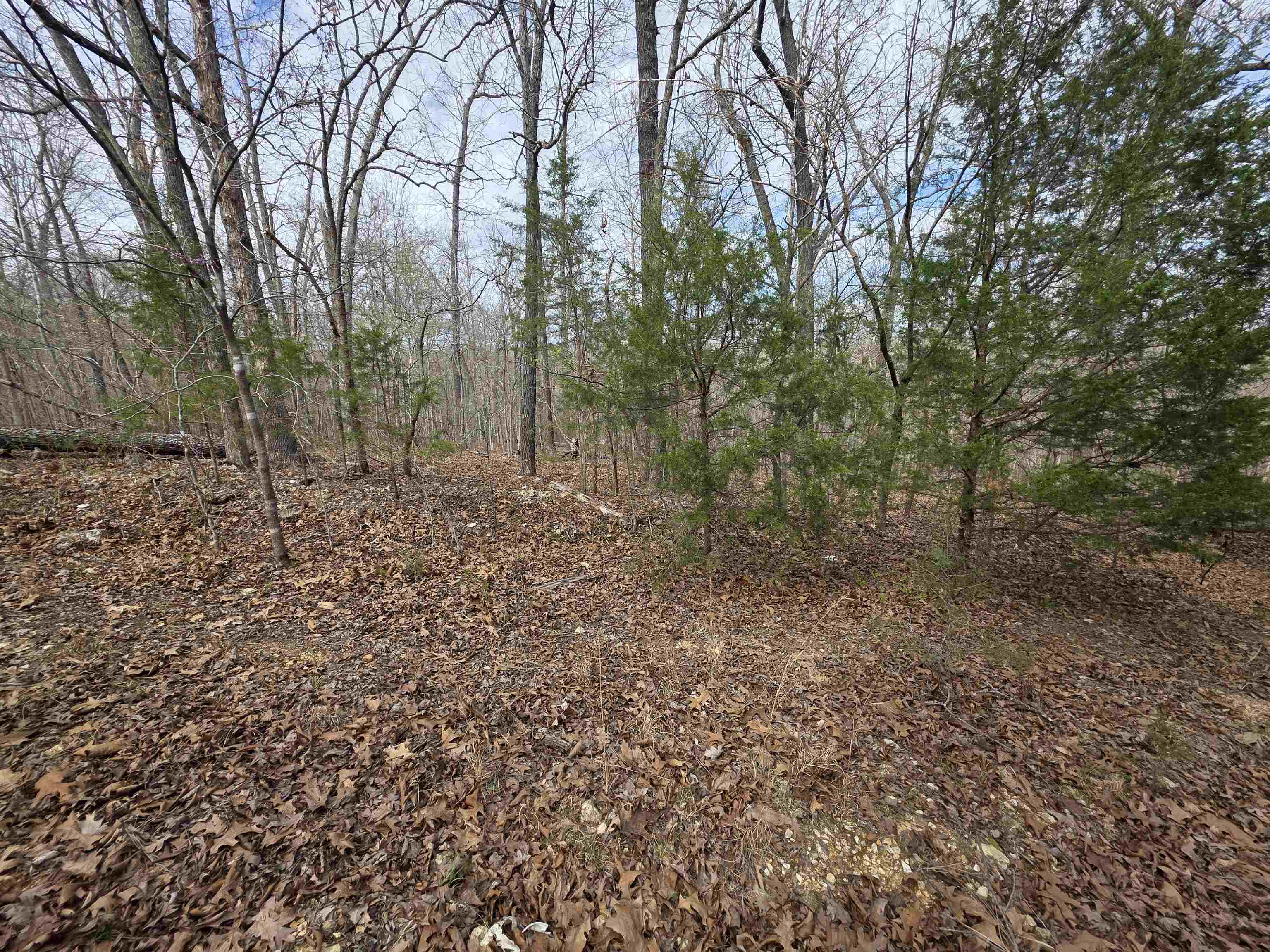 Photo 2 - Vacant Land for sale – L-42 B-1  Robin Hood   Hardy, AR