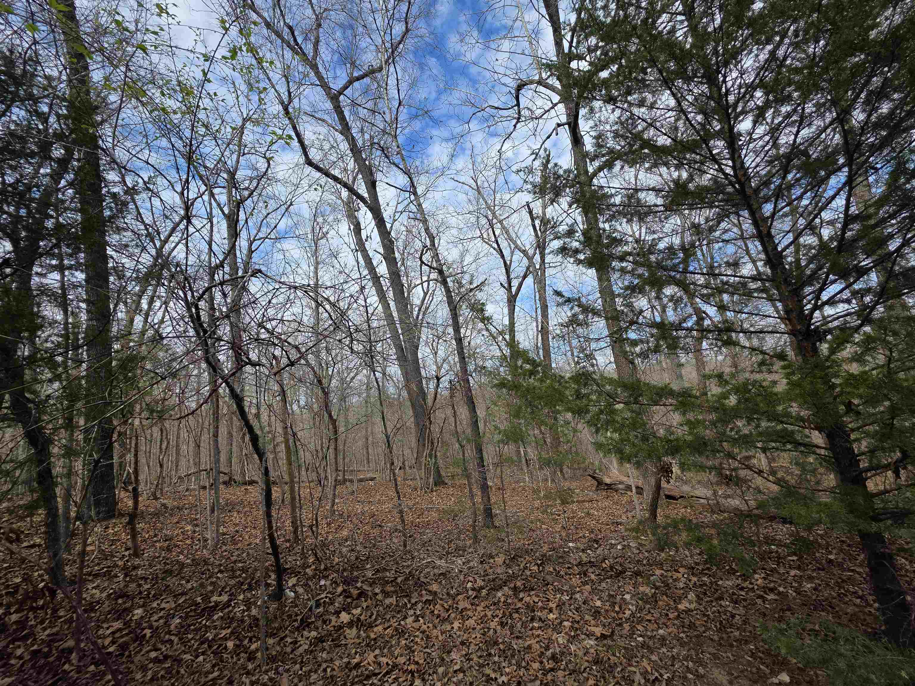 Photo 11 - Vacant Land for sale – L-42 B-1  Robin Hood   Hardy, AR