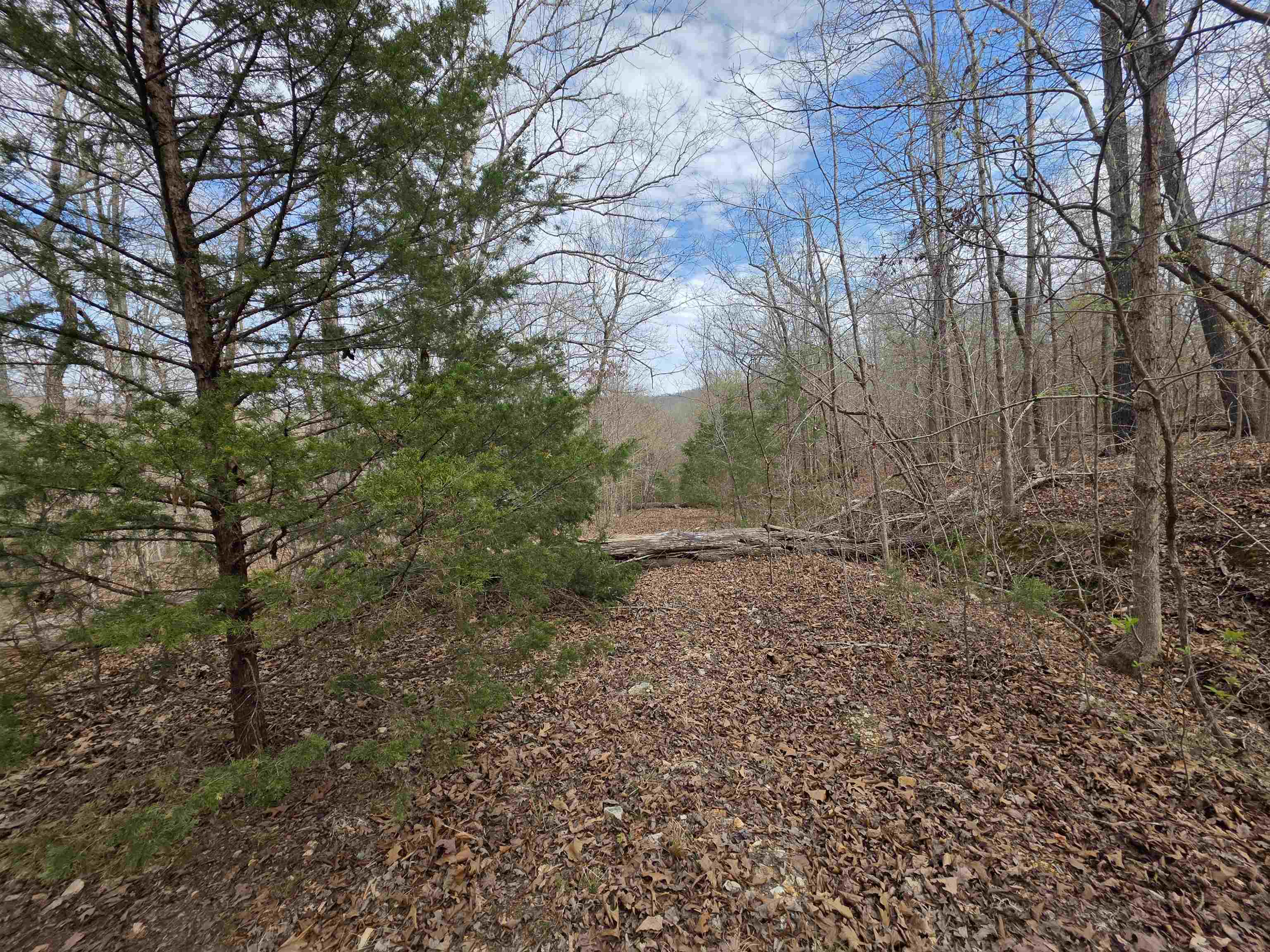 Photo 12 - Vacant Land for sale – L-42 B-1  Robin Hood   Hardy, AR