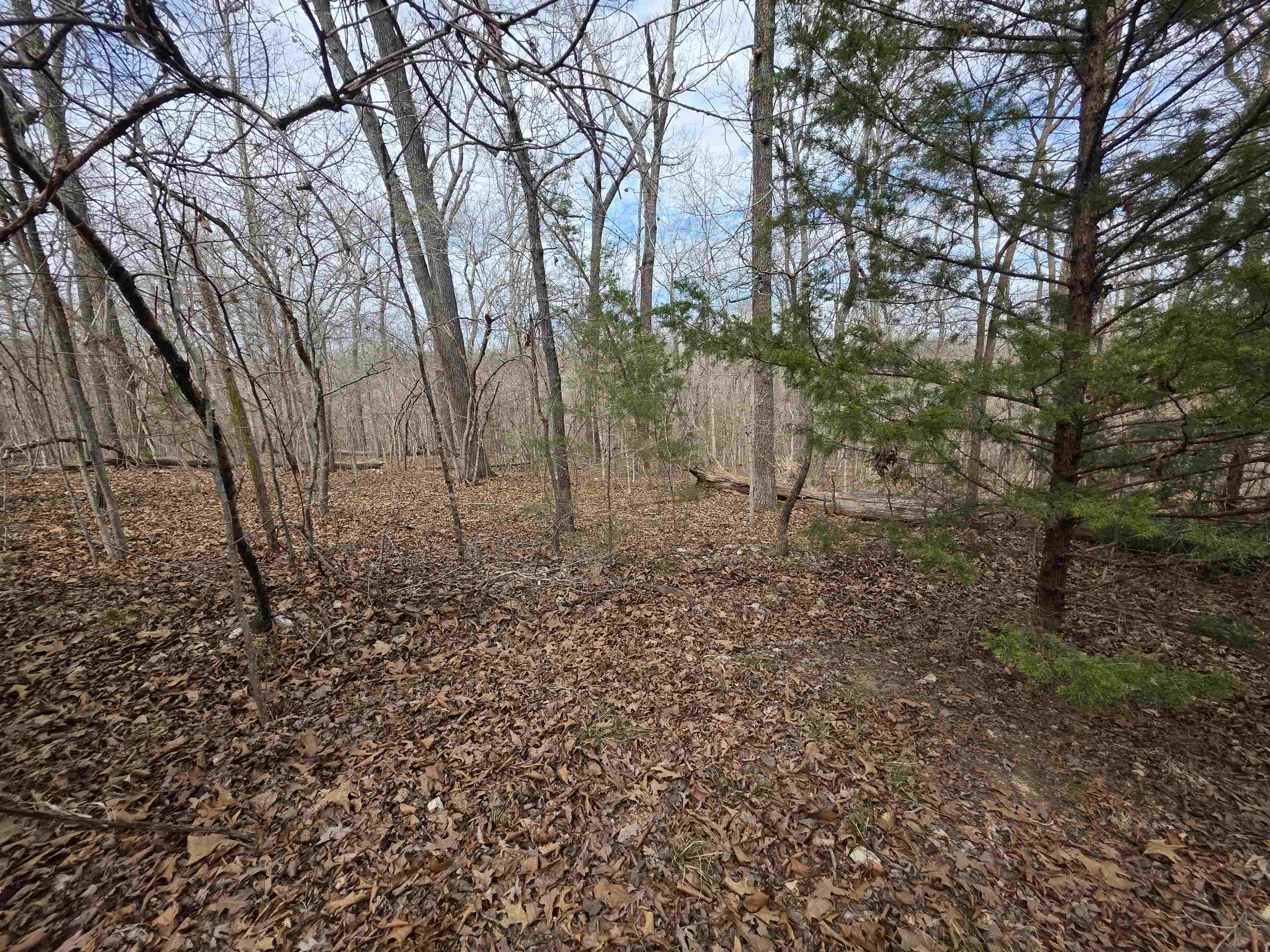 Photo 13 - Vacant Land for sale – L-42 B-1  Robin Hood   Hardy, AR