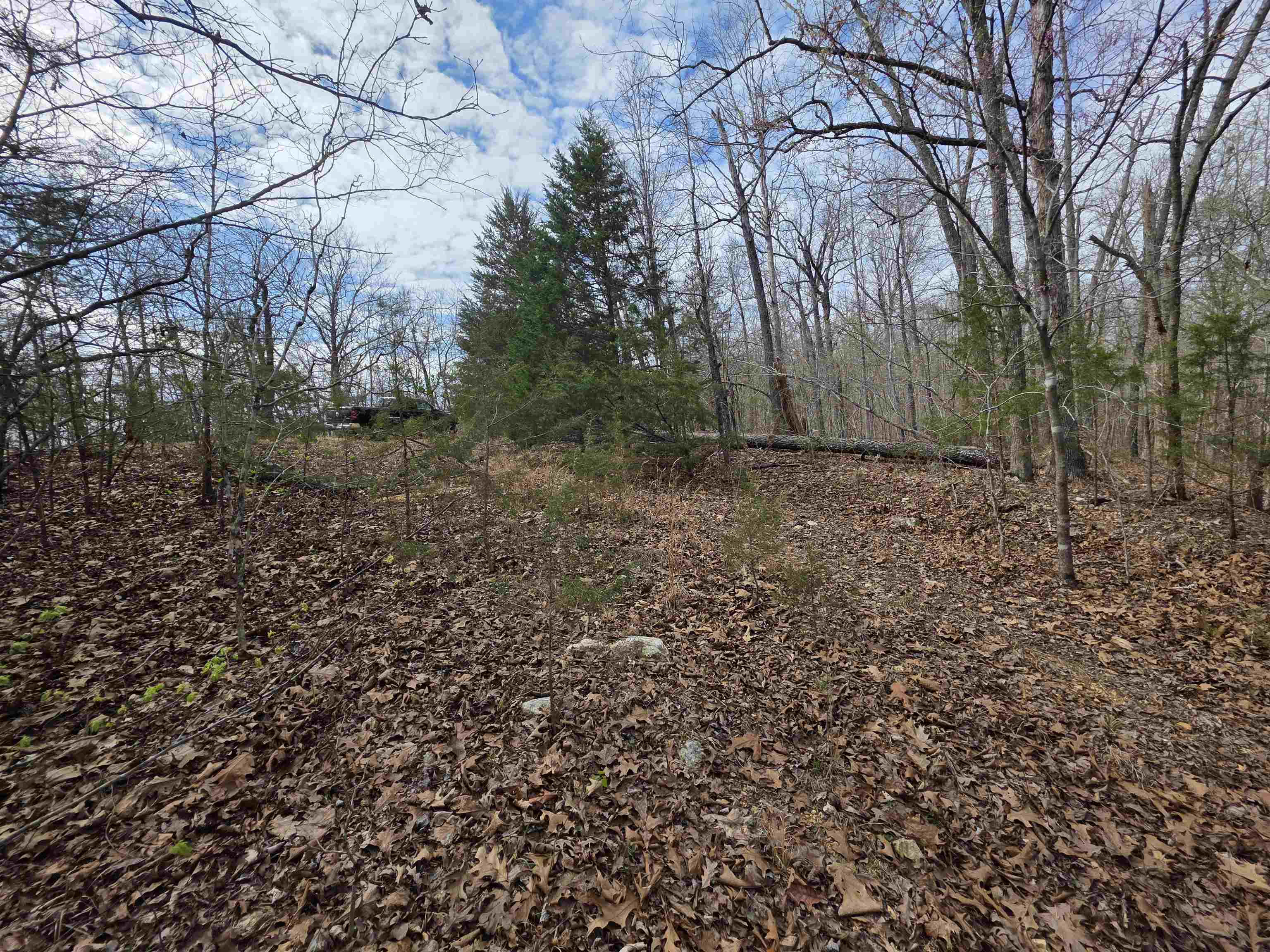 Photo 3 - Vacant Land for sale – L-42 B-1  Robin Hood   Hardy, AR
