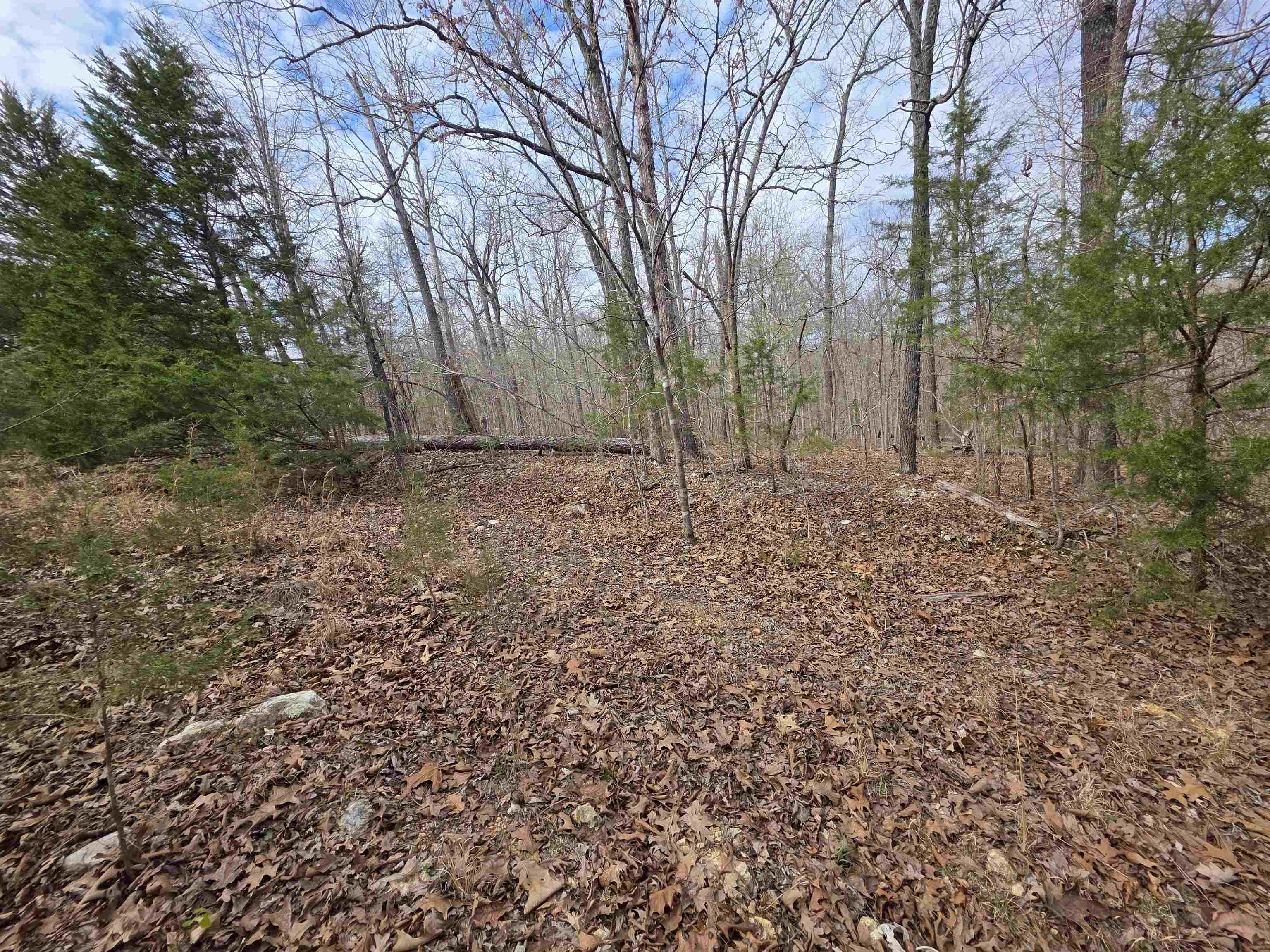 Photo 4 - Vacant Land for sale – L-42 B-1  Robin Hood   Hardy, AR