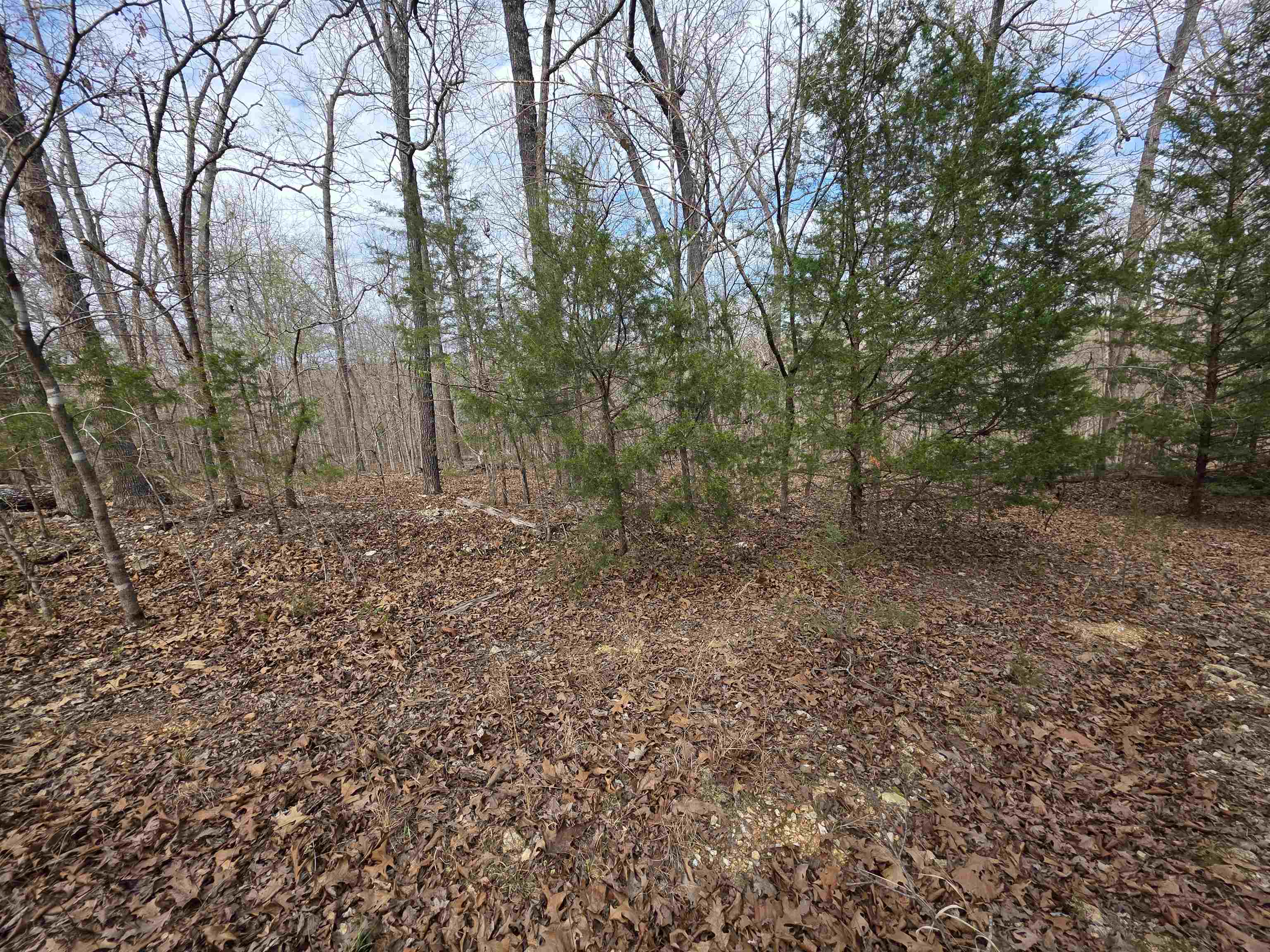 Photo 5 - Vacant Land for sale – L-42 B-1  Robin Hood   Hardy, AR