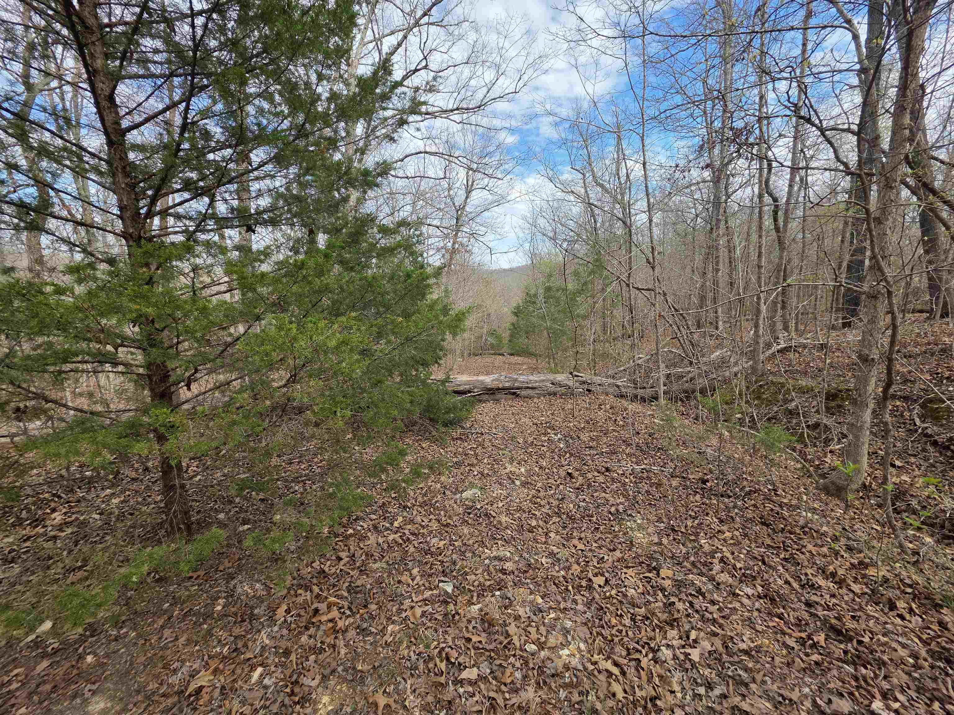 Photo 6 - Vacant Land for sale – L-42 B-1  Robin Hood   Hardy, AR