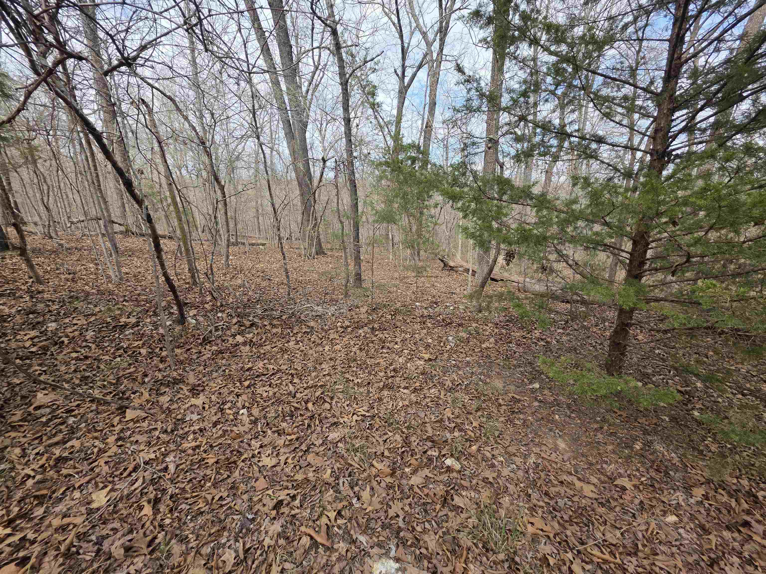 Photo 7 - Vacant Land for sale – L-42 B-1  Robin Hood   Hardy, AR