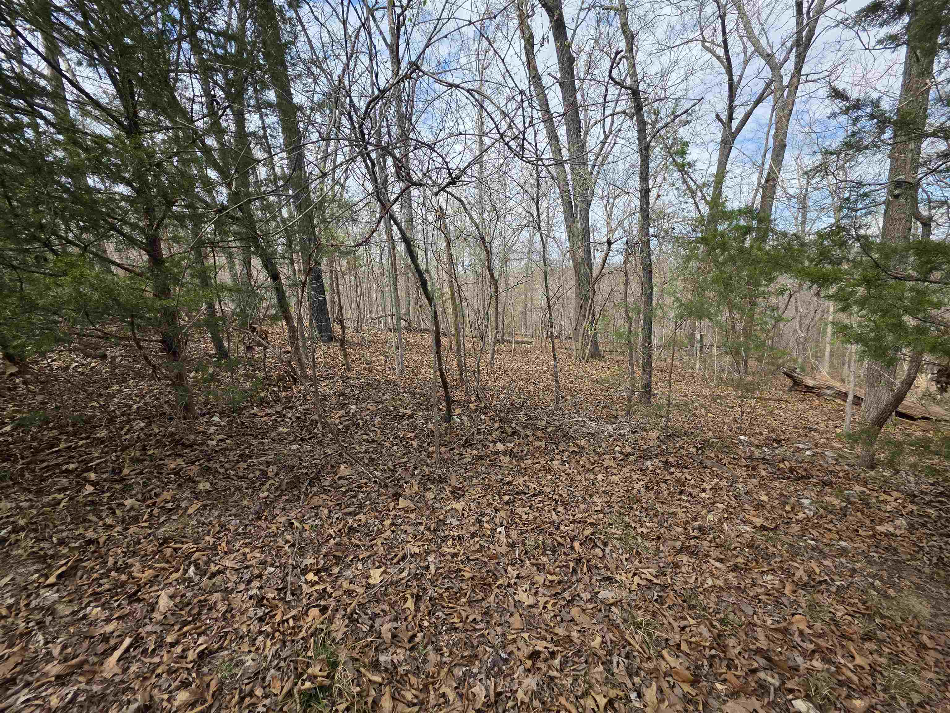 Photo 8 - Vacant Land for sale – L-42 B-1  Robin Hood   Hardy, AR