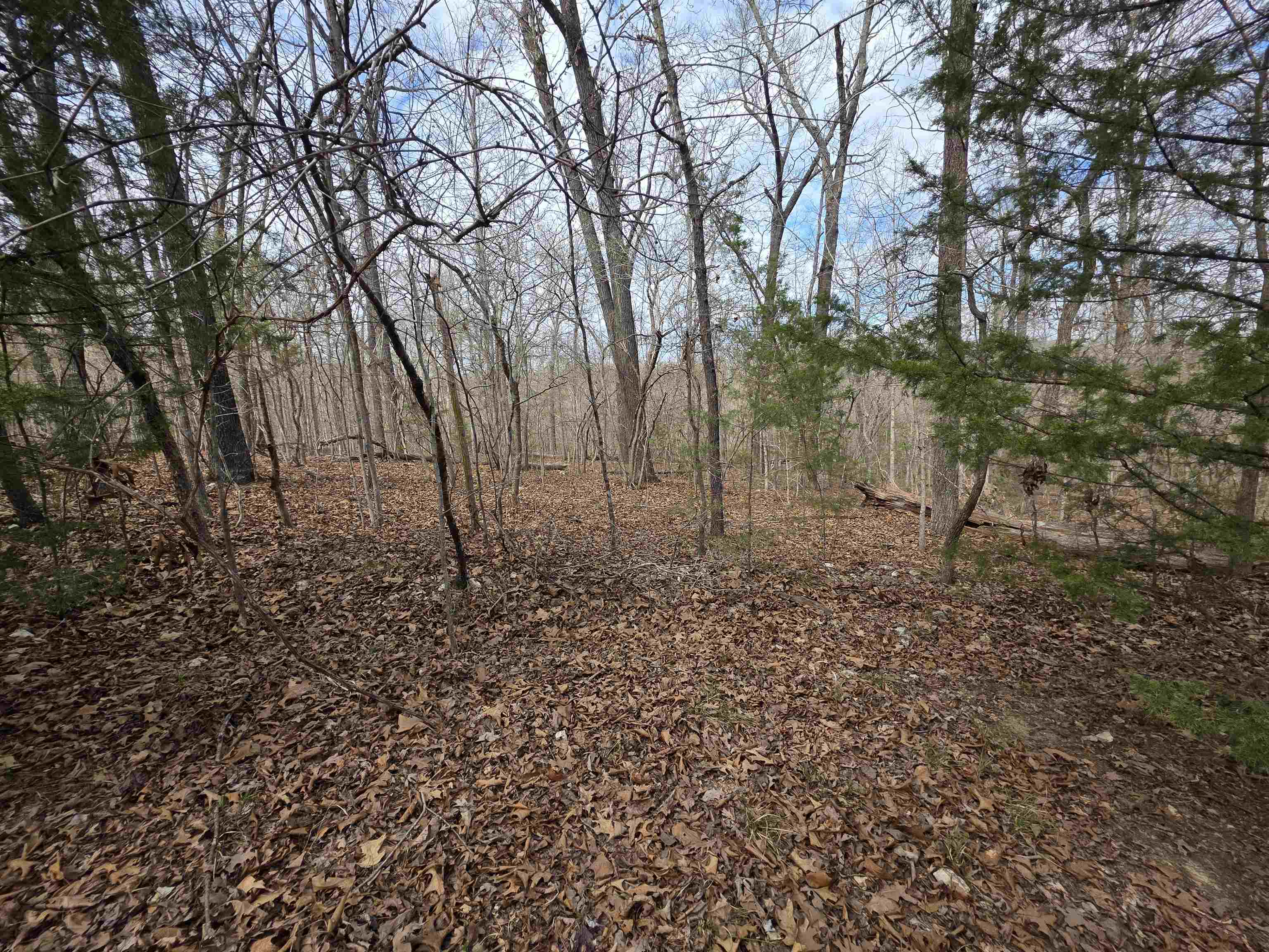 Photo 9 - Vacant Land for sale – L-42 B-1  Robin Hood   Hardy, AR