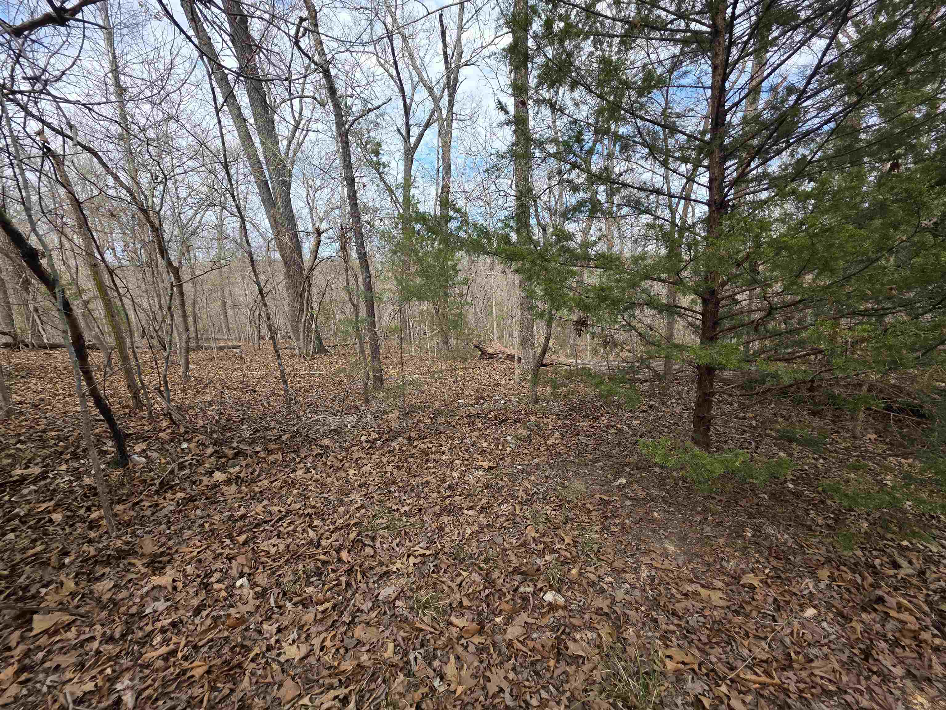 Photo 10 - Vacant Land for sale – L-42 B-1  Robin Hood   Hardy, AR