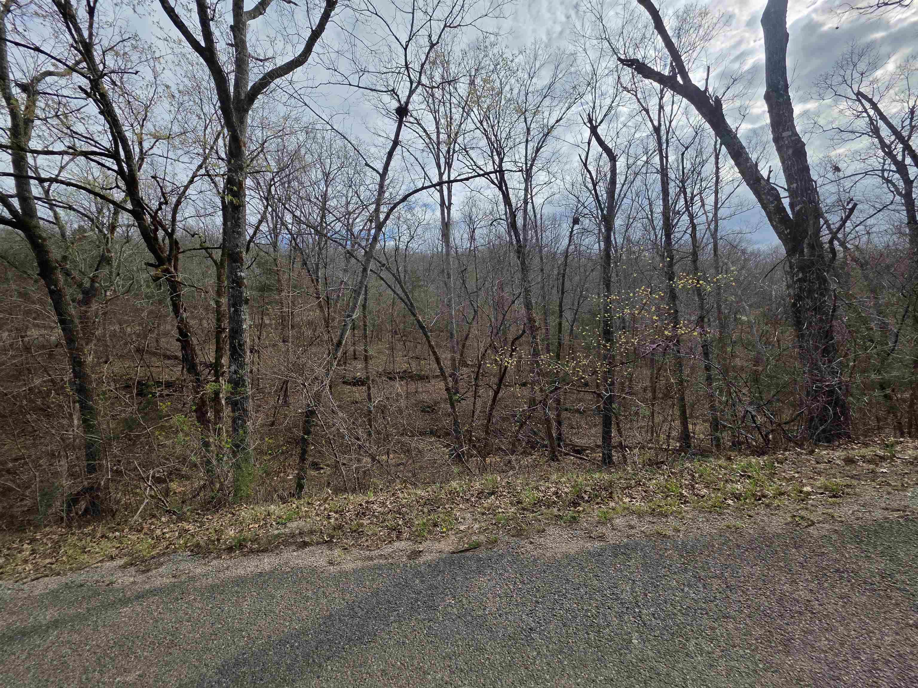 Photo 2 - Vacant Land for sale – L-25 B-1  Woodland Hills   Hardy, AR