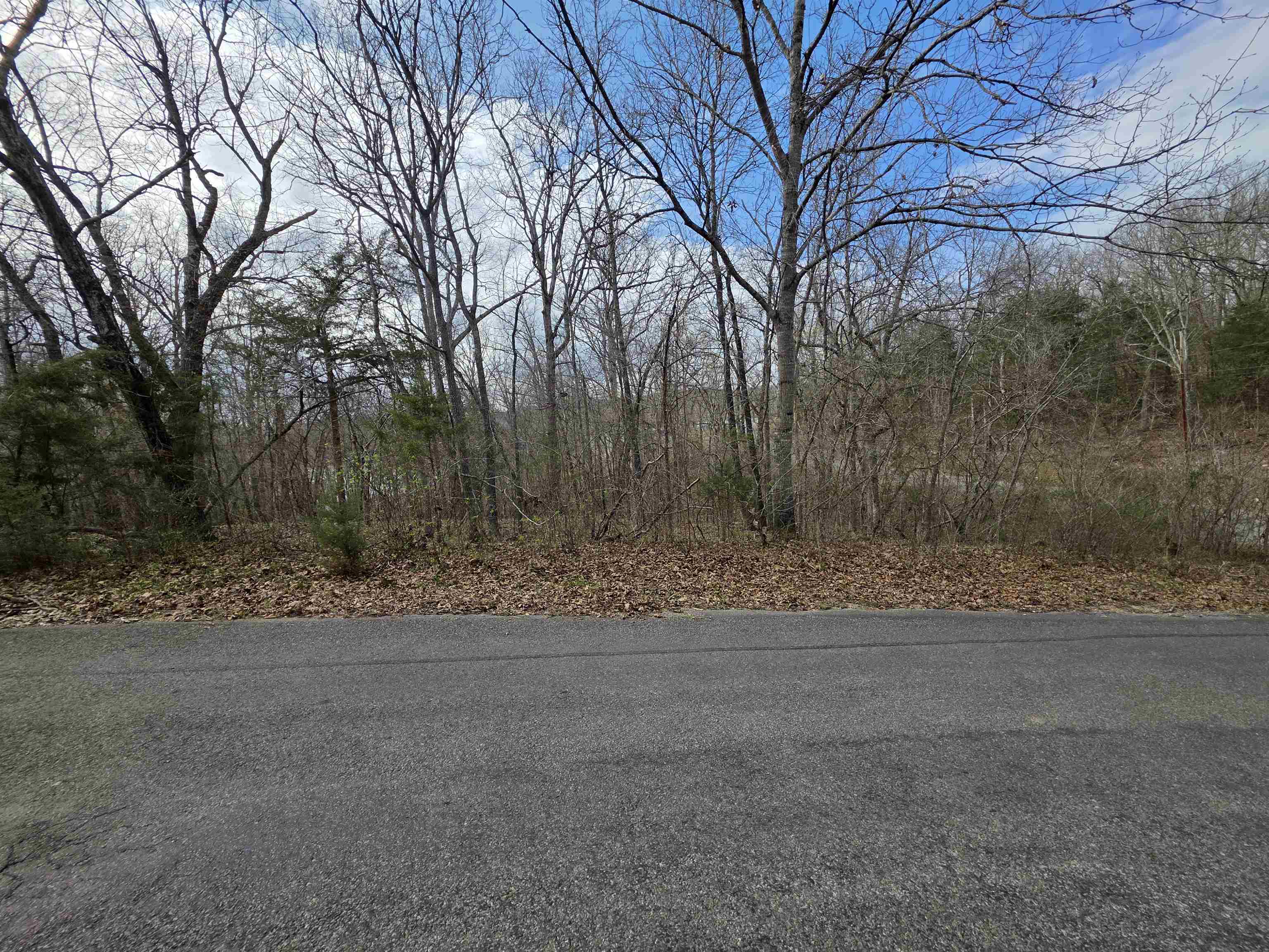 Photo 11 - Vacant Land for sale – L-25 B-1  Woodland Hills   Hardy, AR