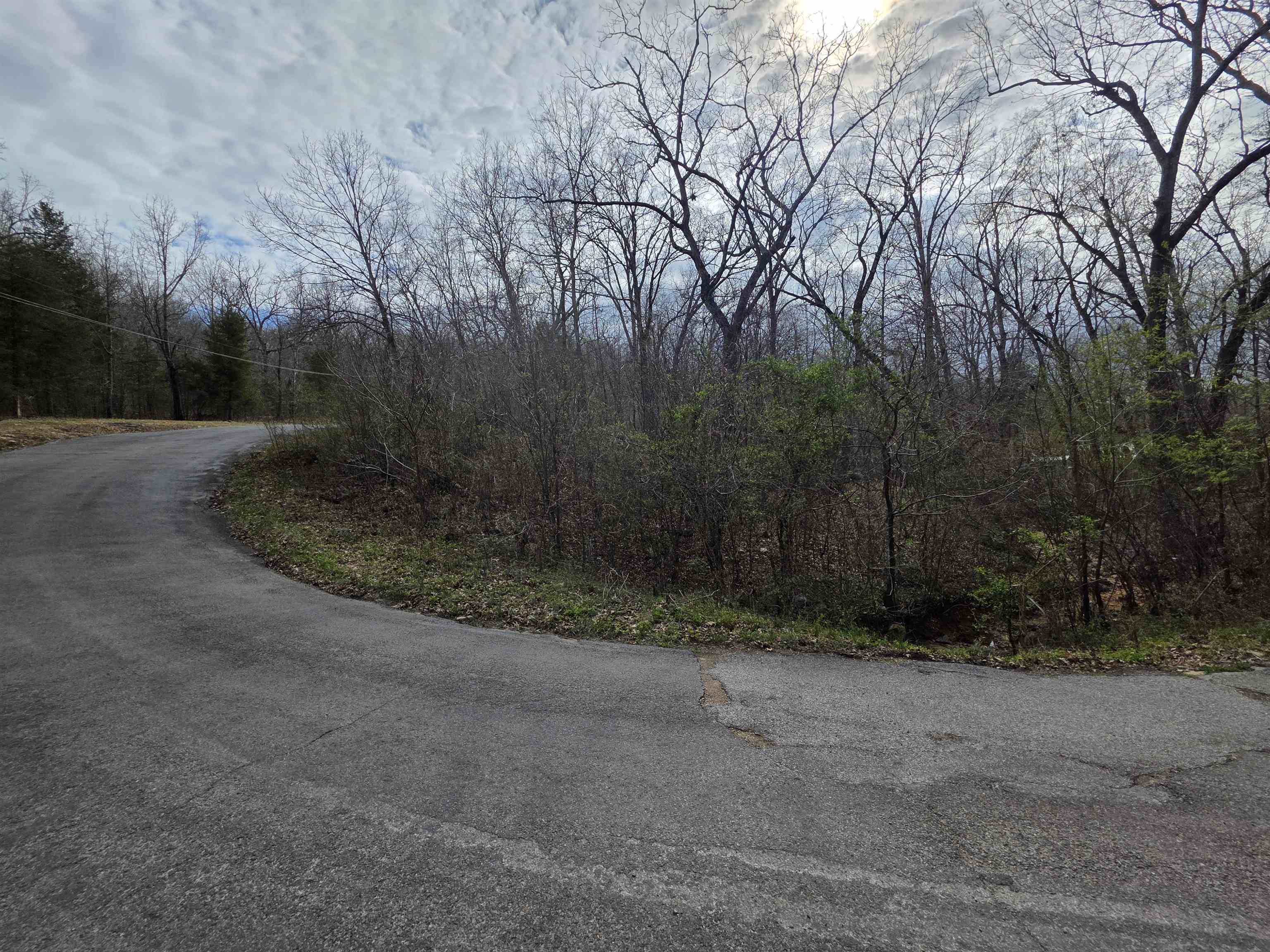 Photo 12 - Vacant Land for sale – L-25 B-1  Woodland Hills   Hardy, AR