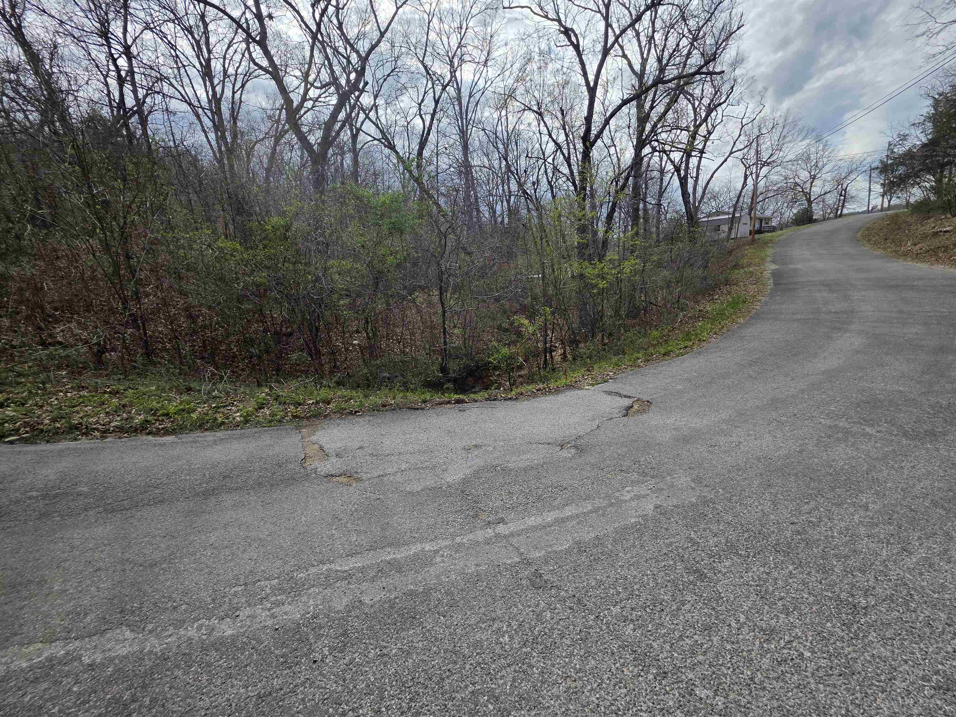 Photo 13 - Vacant Land for sale – L-25 B-1  Woodland Hills   Hardy, AR