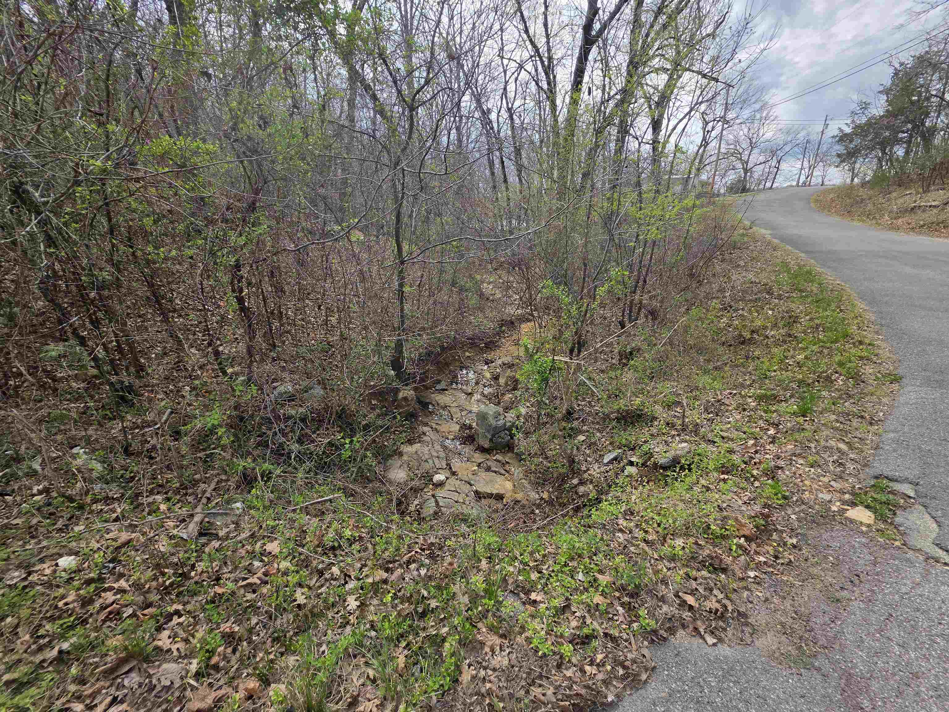 Photo 14 - Vacant Land for sale – L-25 B-1  Woodland Hills   Hardy, AR