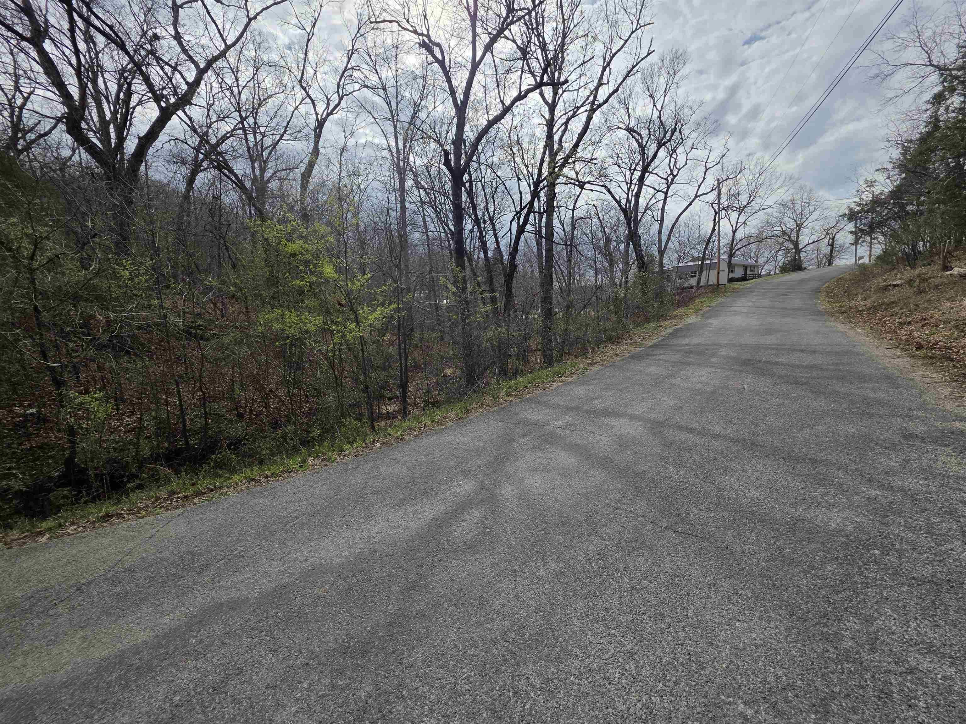 Photo 15 - Vacant Land for sale – L-25 B-1  Woodland Hills   Hardy, AR