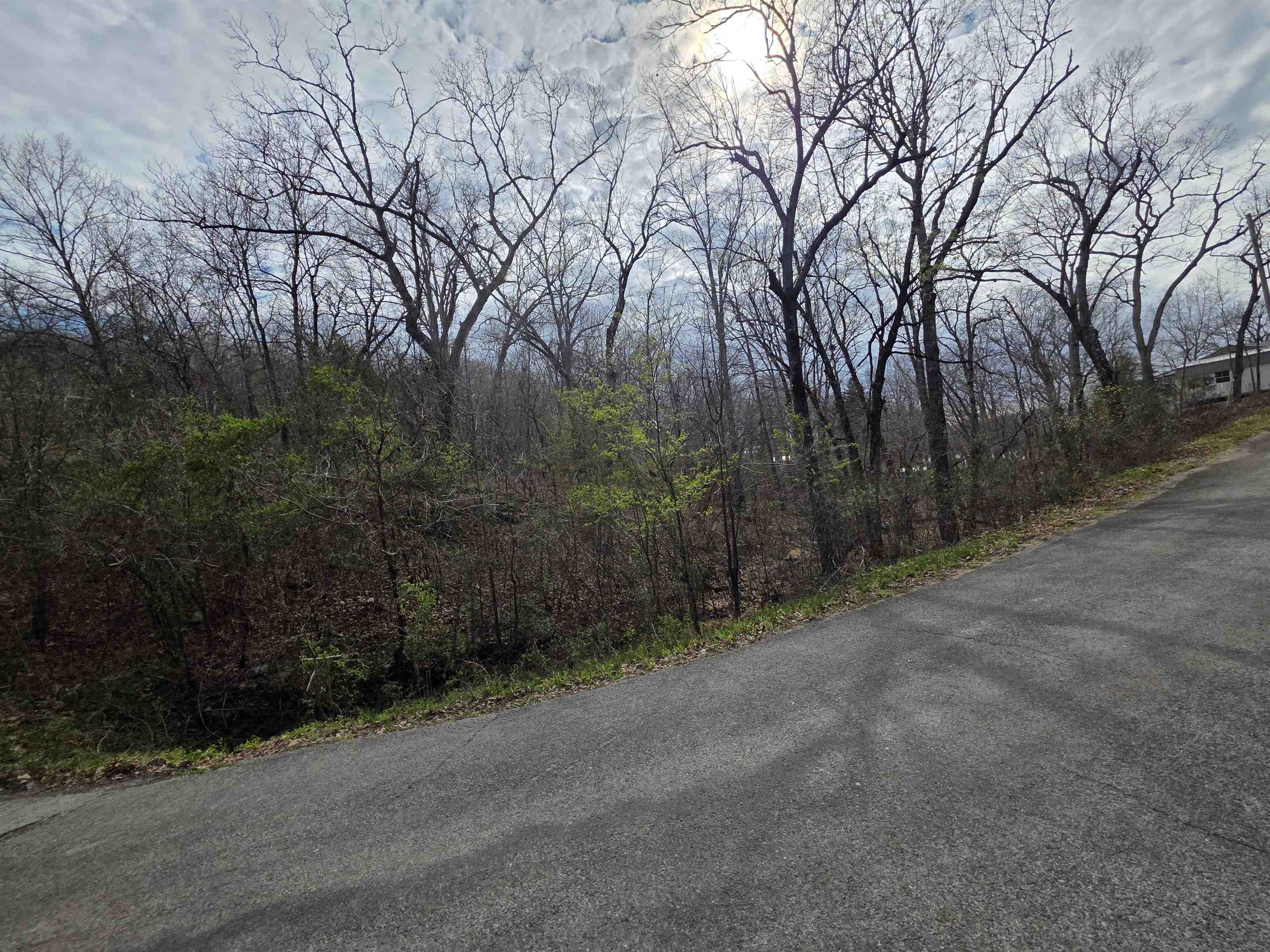 Photo 16 - Vacant Land for sale – L-25 B-1  Woodland Hills   Hardy, AR