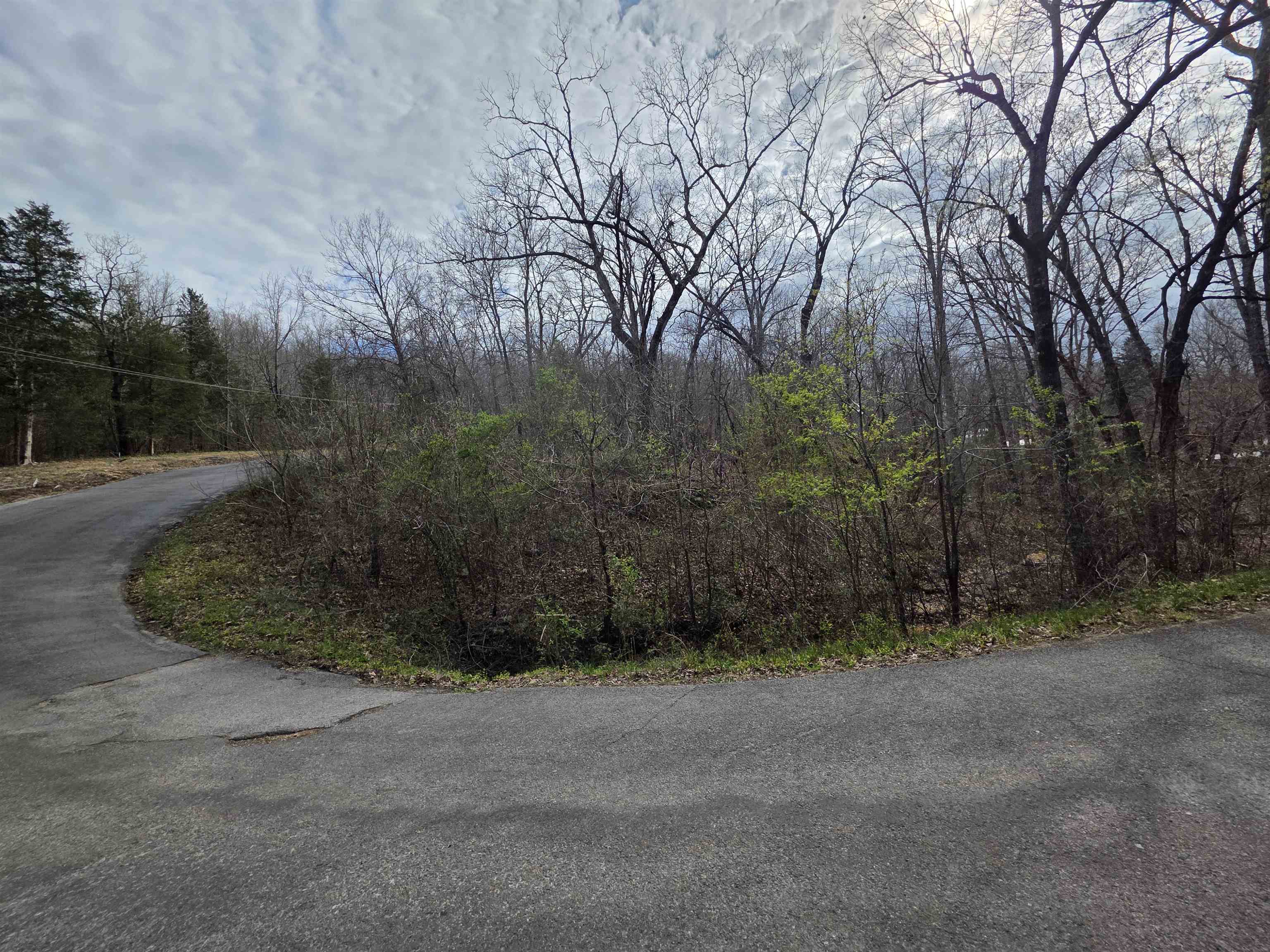 Photo 17 - Vacant Land for sale – L-25 B-1  Woodland Hills   Hardy, AR