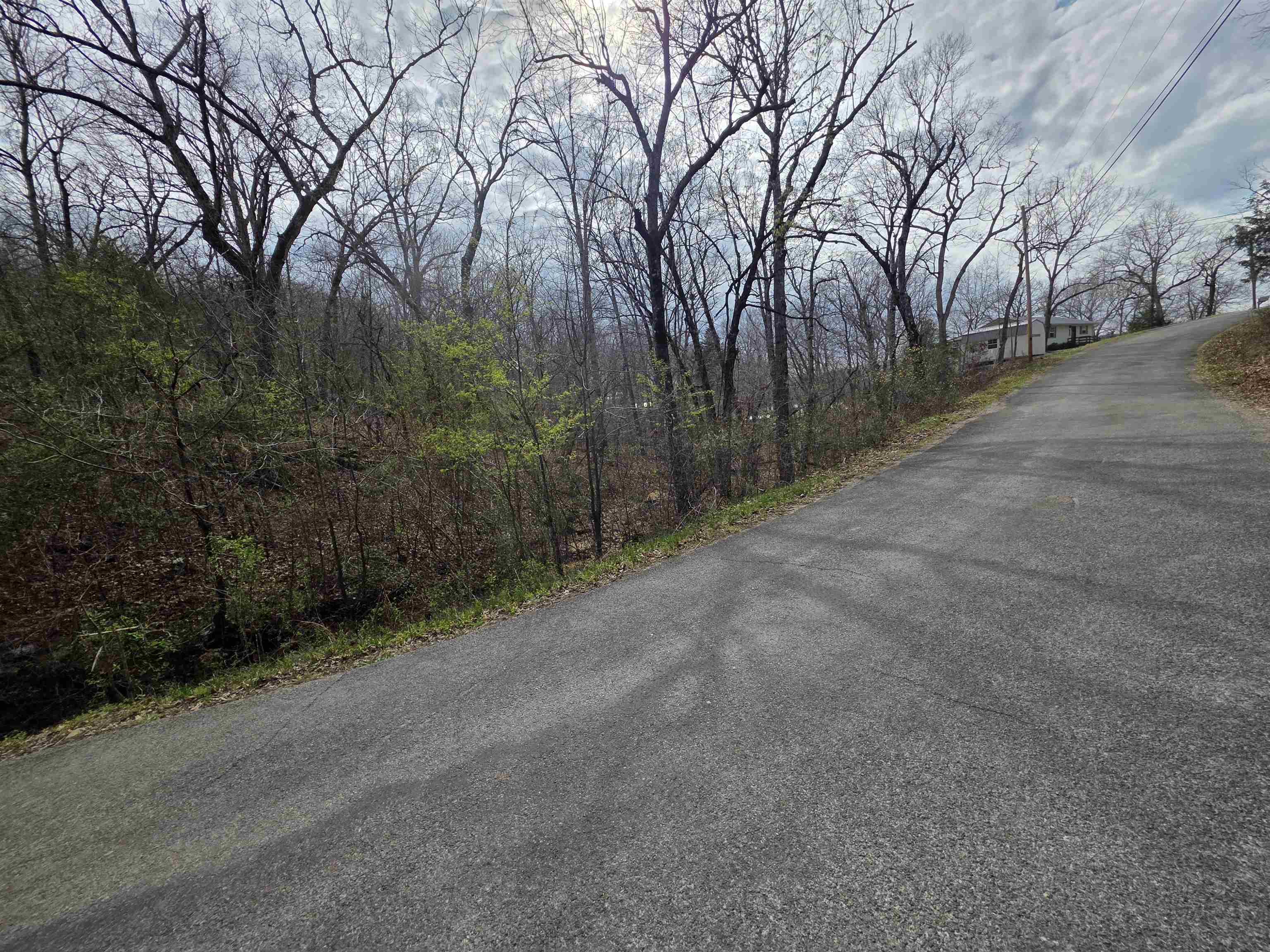 Photo 18 - Vacant Land for sale – L-25 B-1  Woodland Hills   Hardy, AR