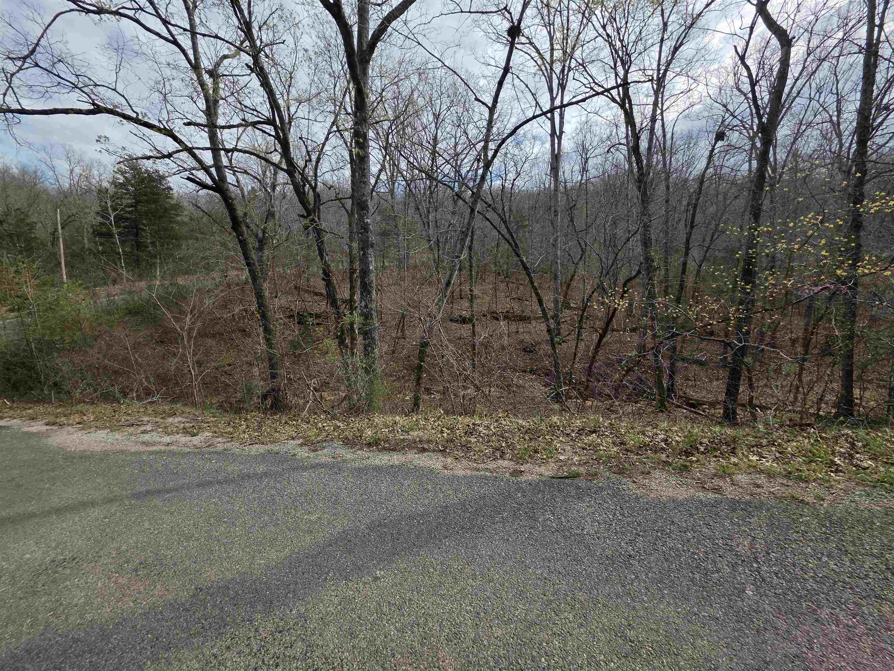 Photo 19 - Vacant Land for sale – L-25 B-1  Woodland Hills   Hardy, AR